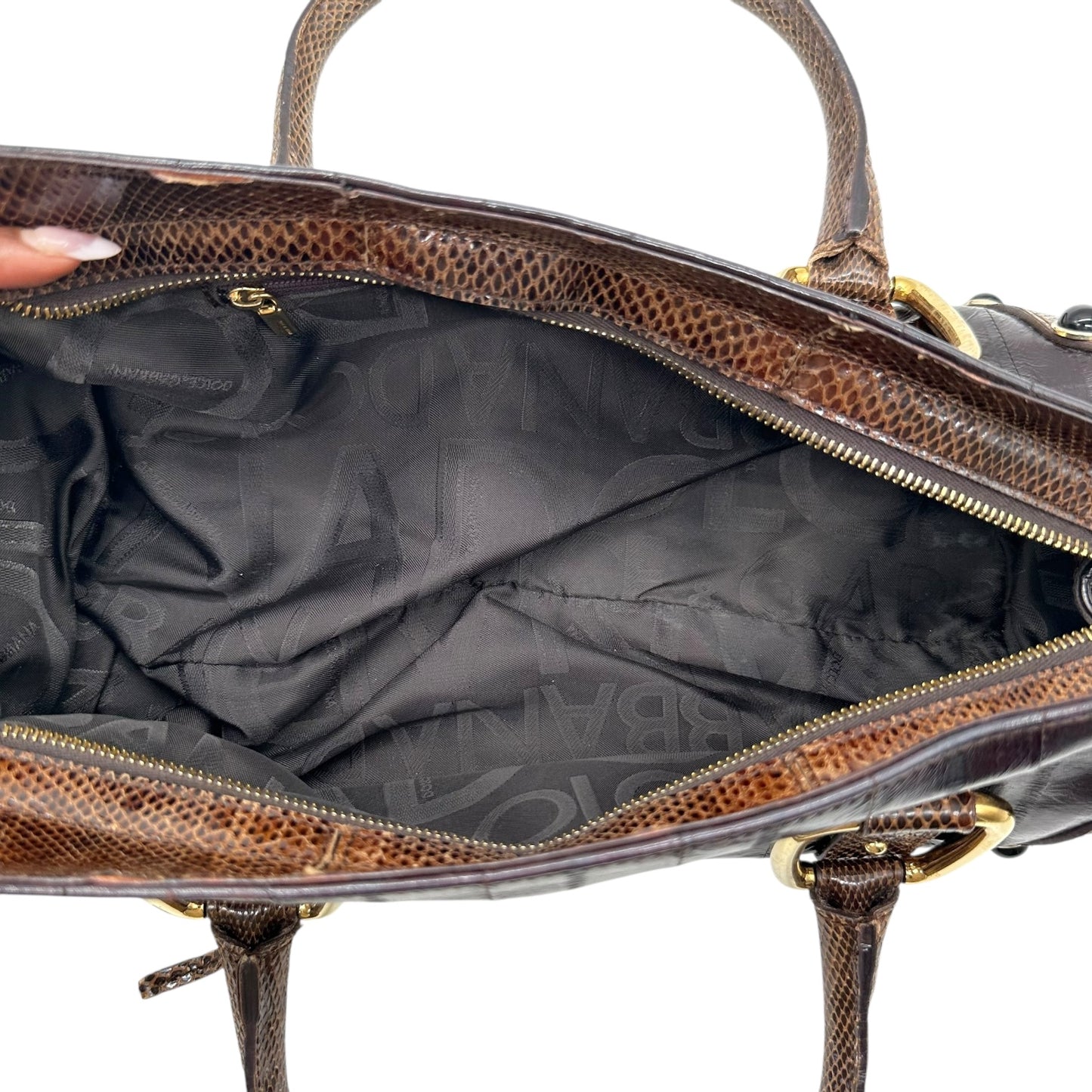 Dolce & Gabbana Brown Eel Skin & Snakeskin East-West Bag
