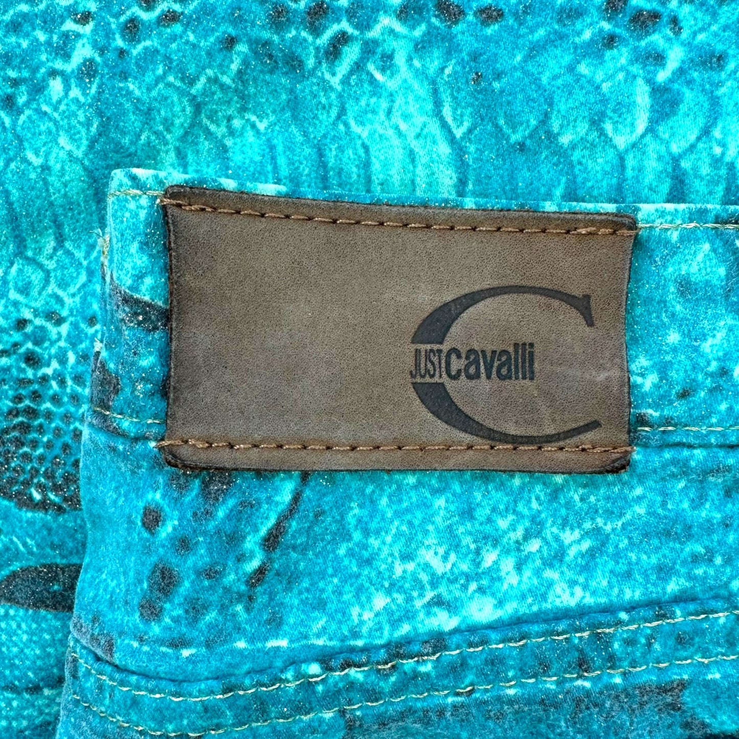 Just Cavalli Roberto Cavalli Turquoise Snake Print Jeans