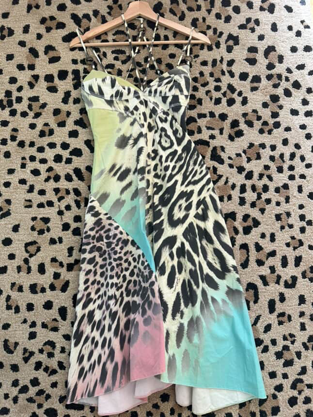 Roberto Cavalli Multicolor Leopard Print Mini Dress