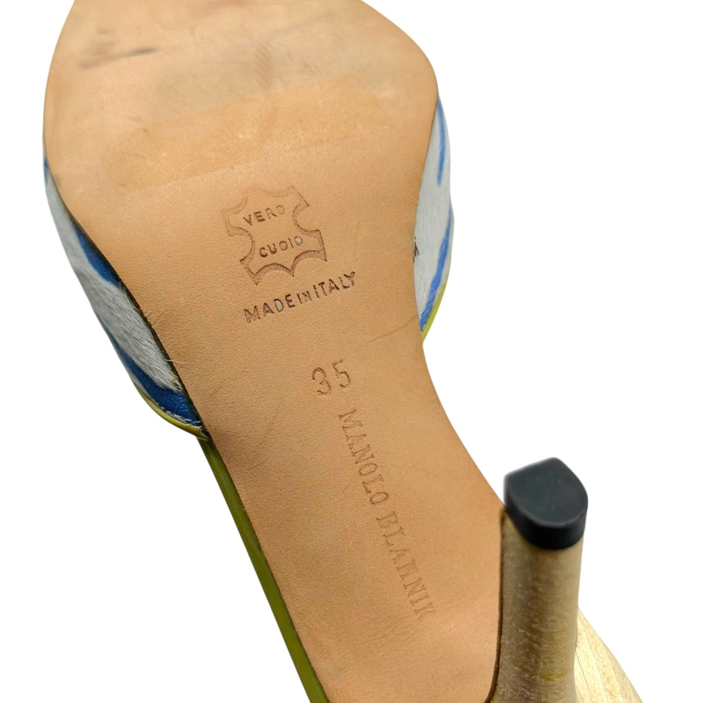 Manolo Blahnik Blue & Green Zebra Print Ponyhair Mule Heels