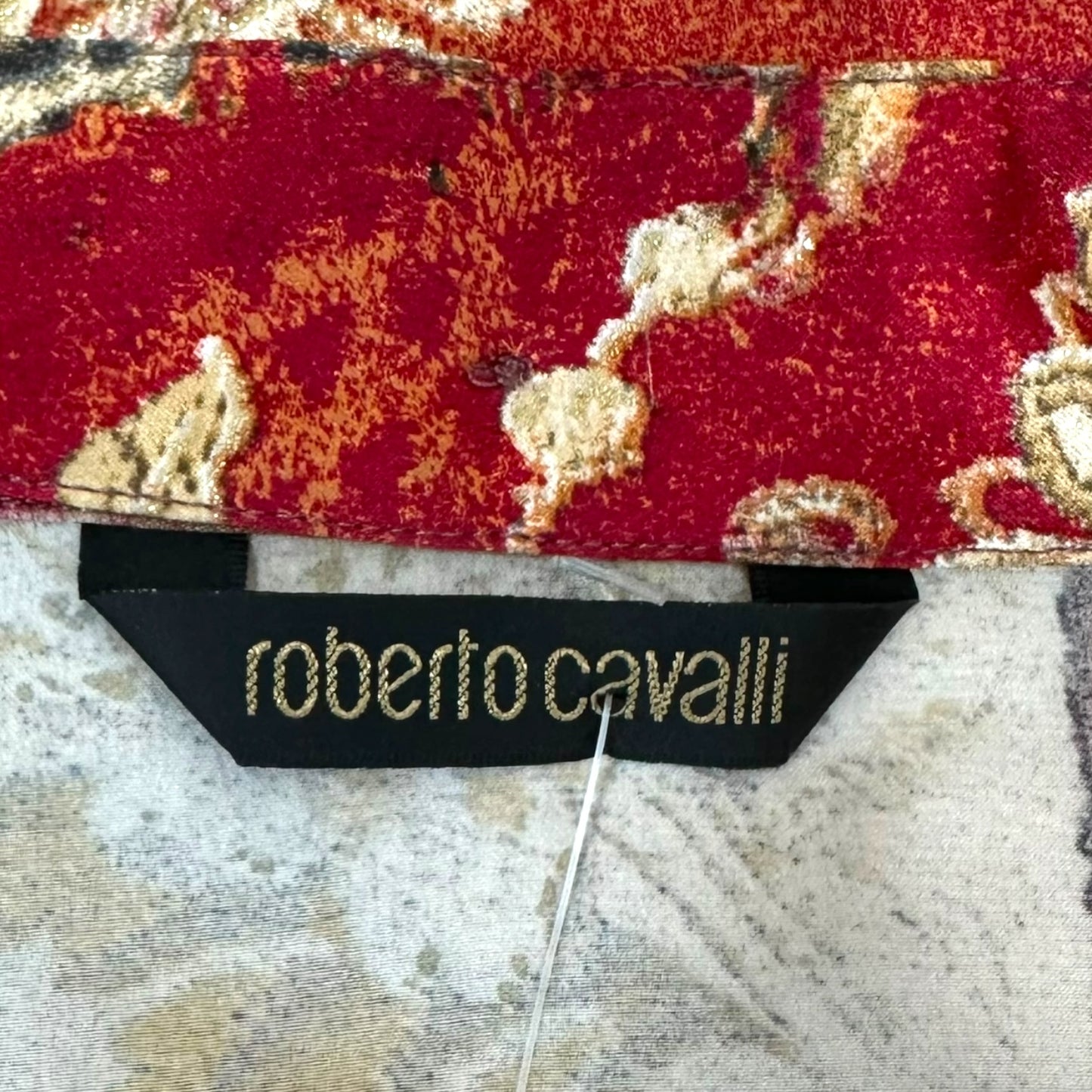 Roberto Cavalli 2005 Silk Striped Blouse