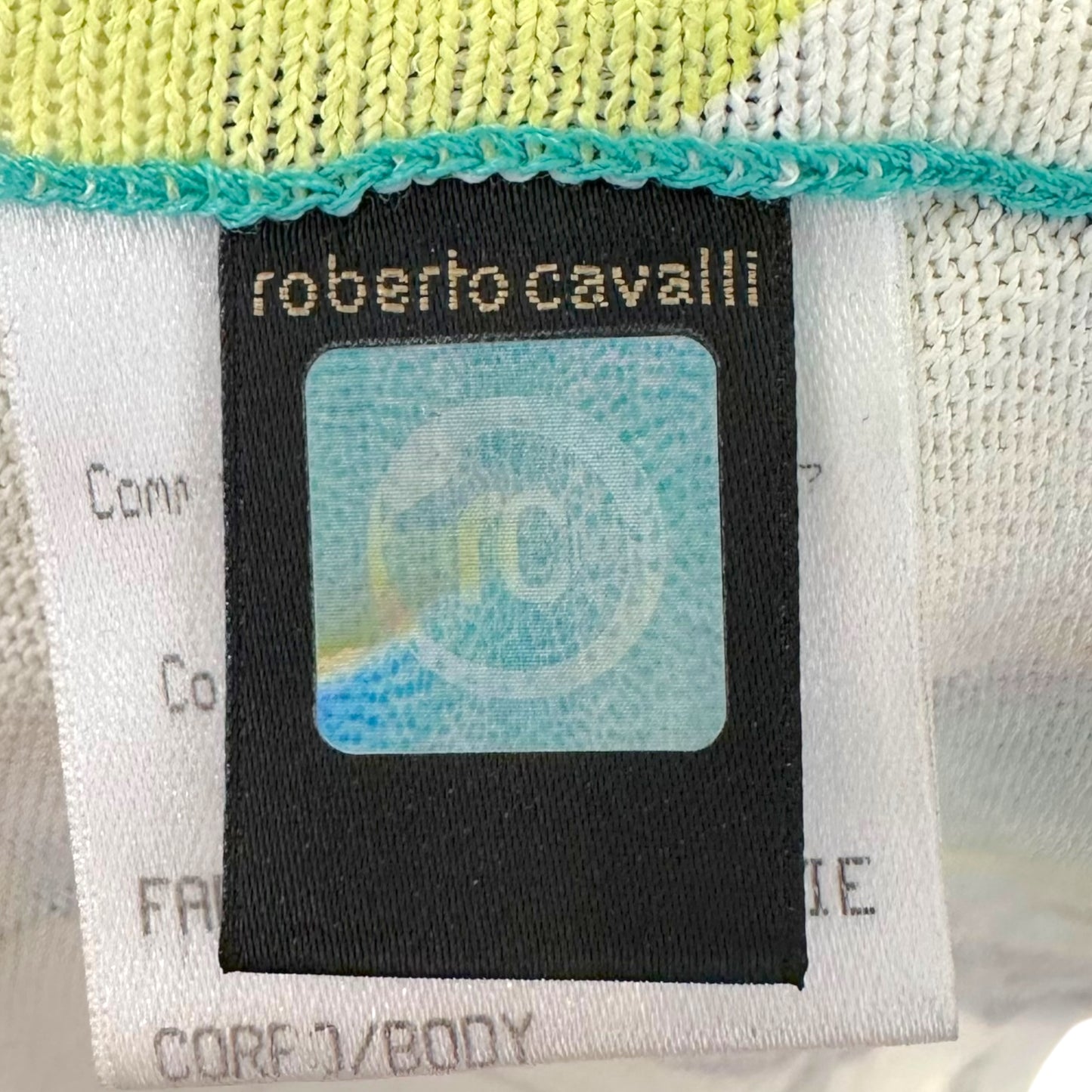 Roberto Cavalli S/S 2004 Green Lace Up Off Shoulder Feather Print Top