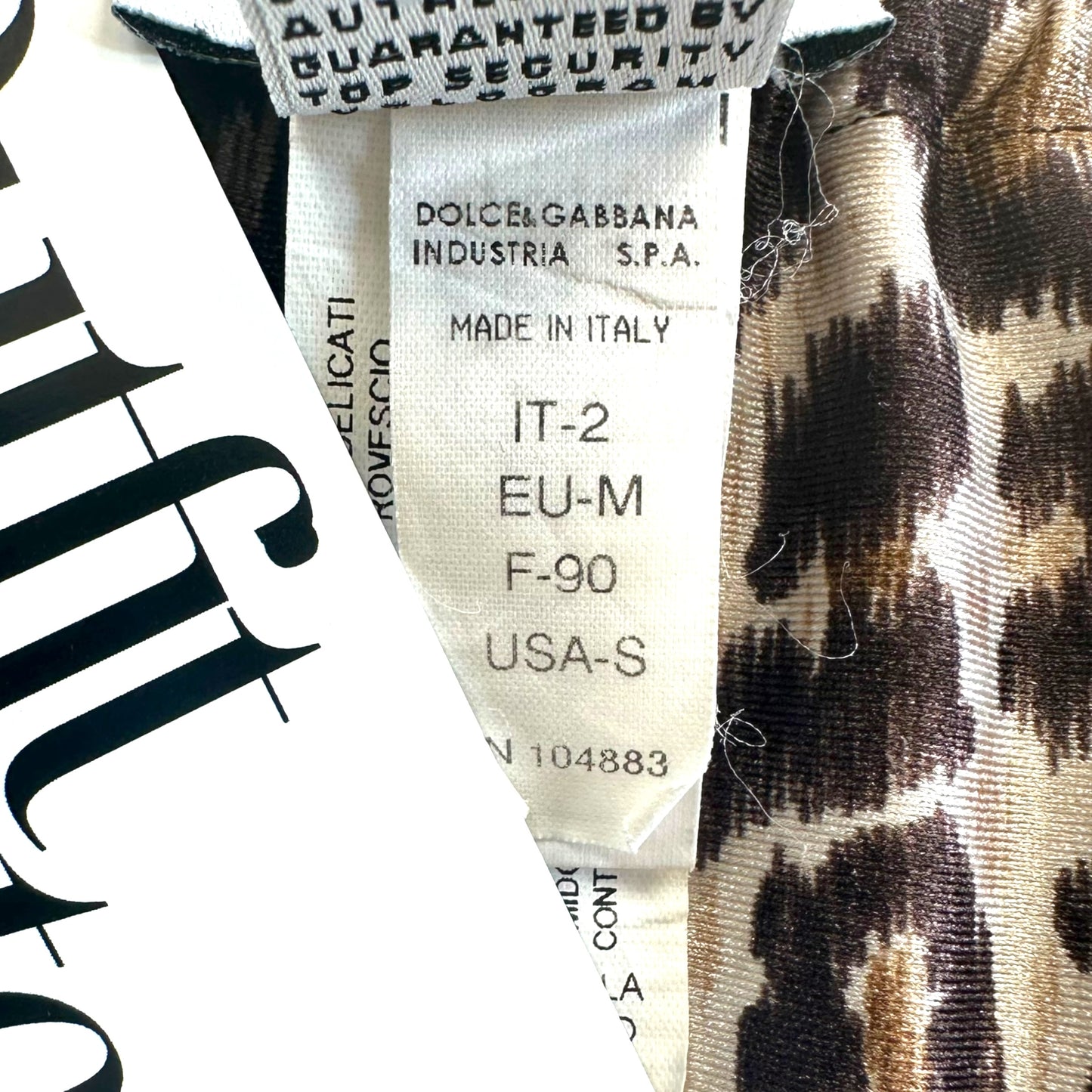 Dolce & Gabbana Beachwear Multicolor Leopard Print Bikini