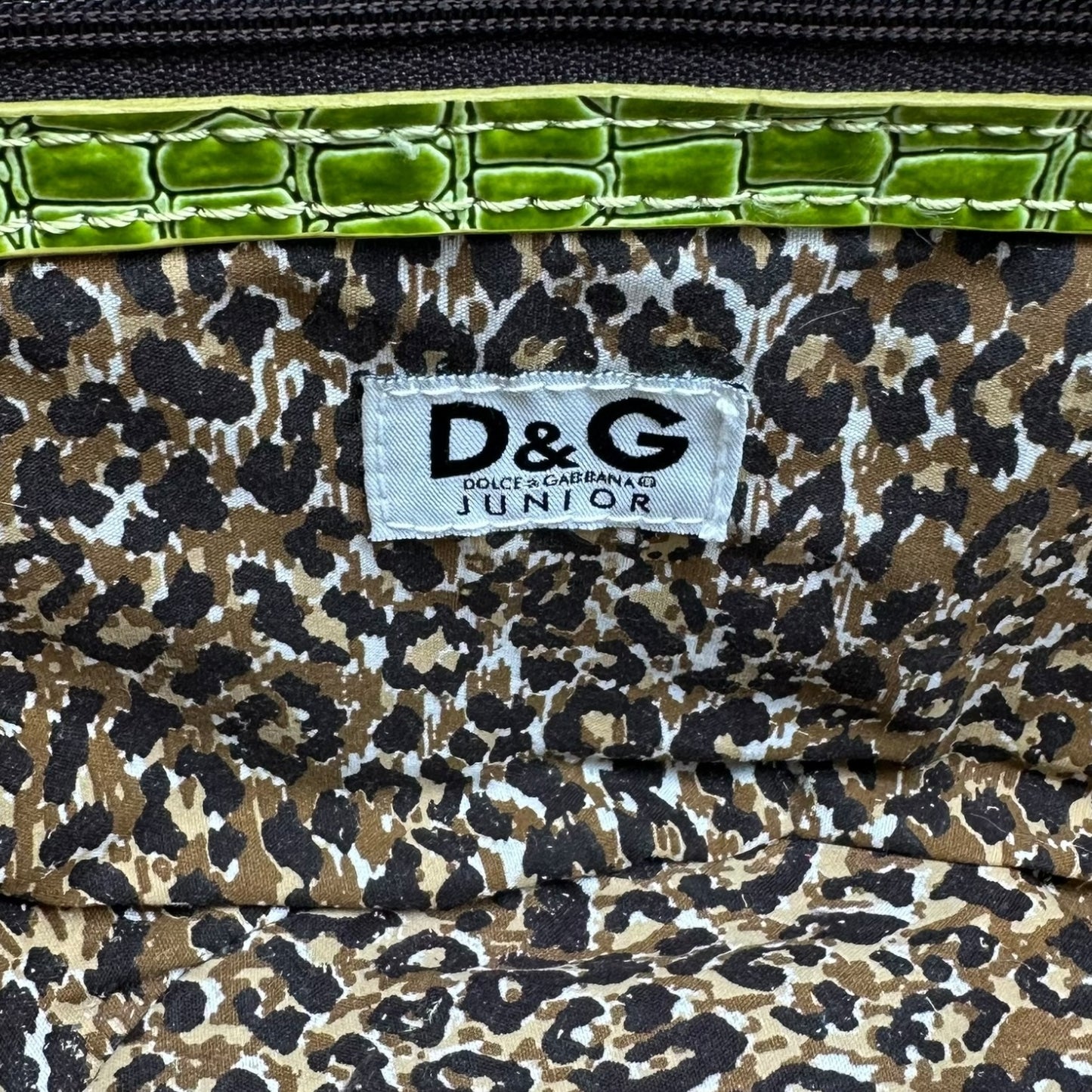 Dolce & Gabbana Green Croc Trim Mini Raffia Beach Bag