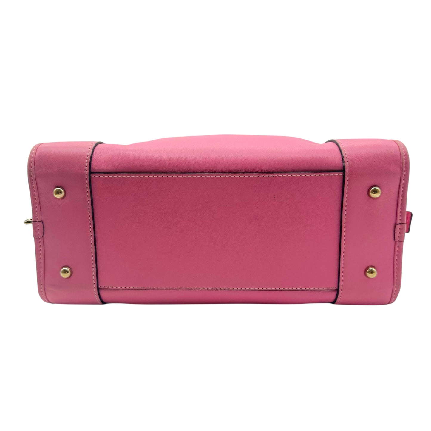 Loewe Pink Leather Amazona Bag