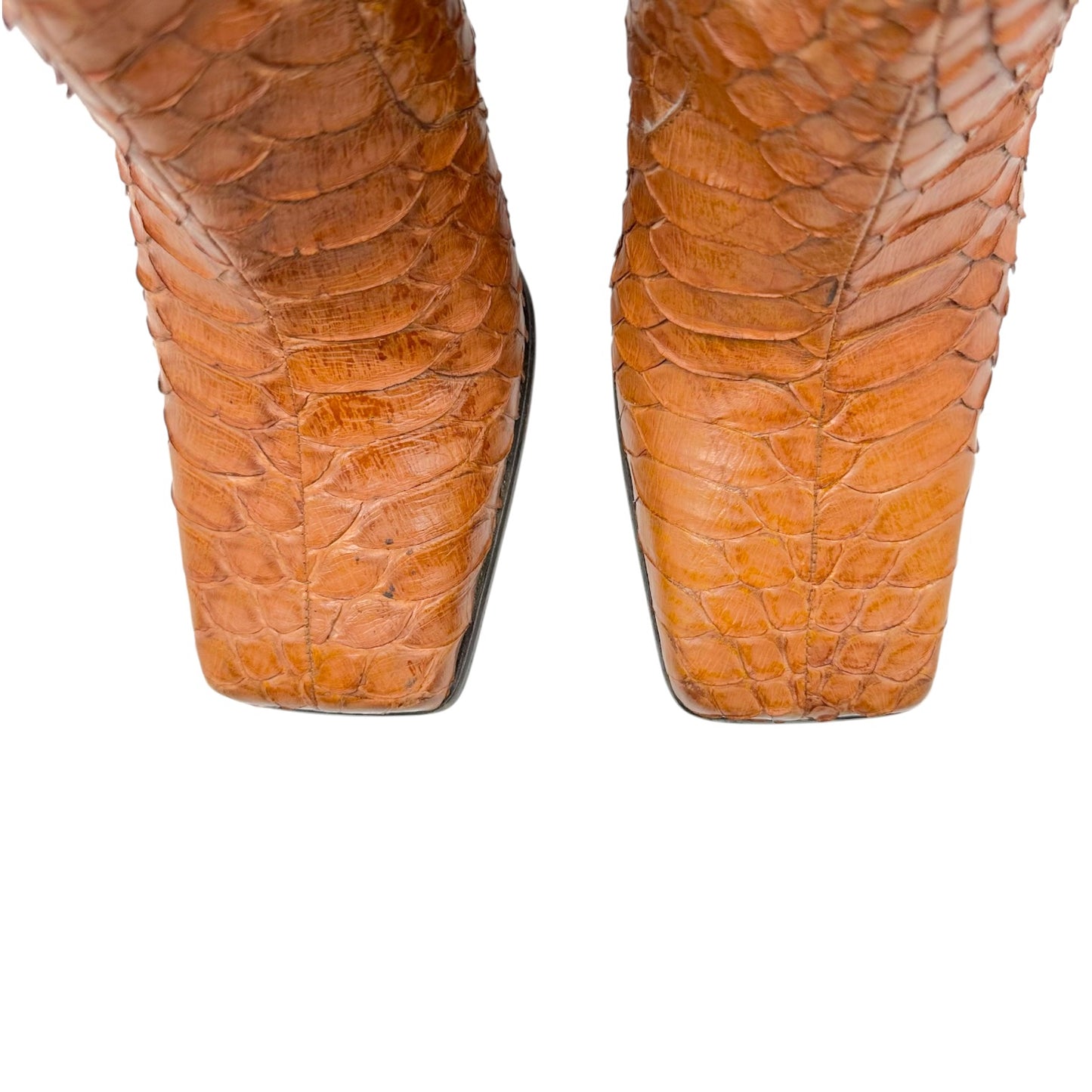Dolce & Gabbana Brown Python Square Toe Heeled Knee High Boots