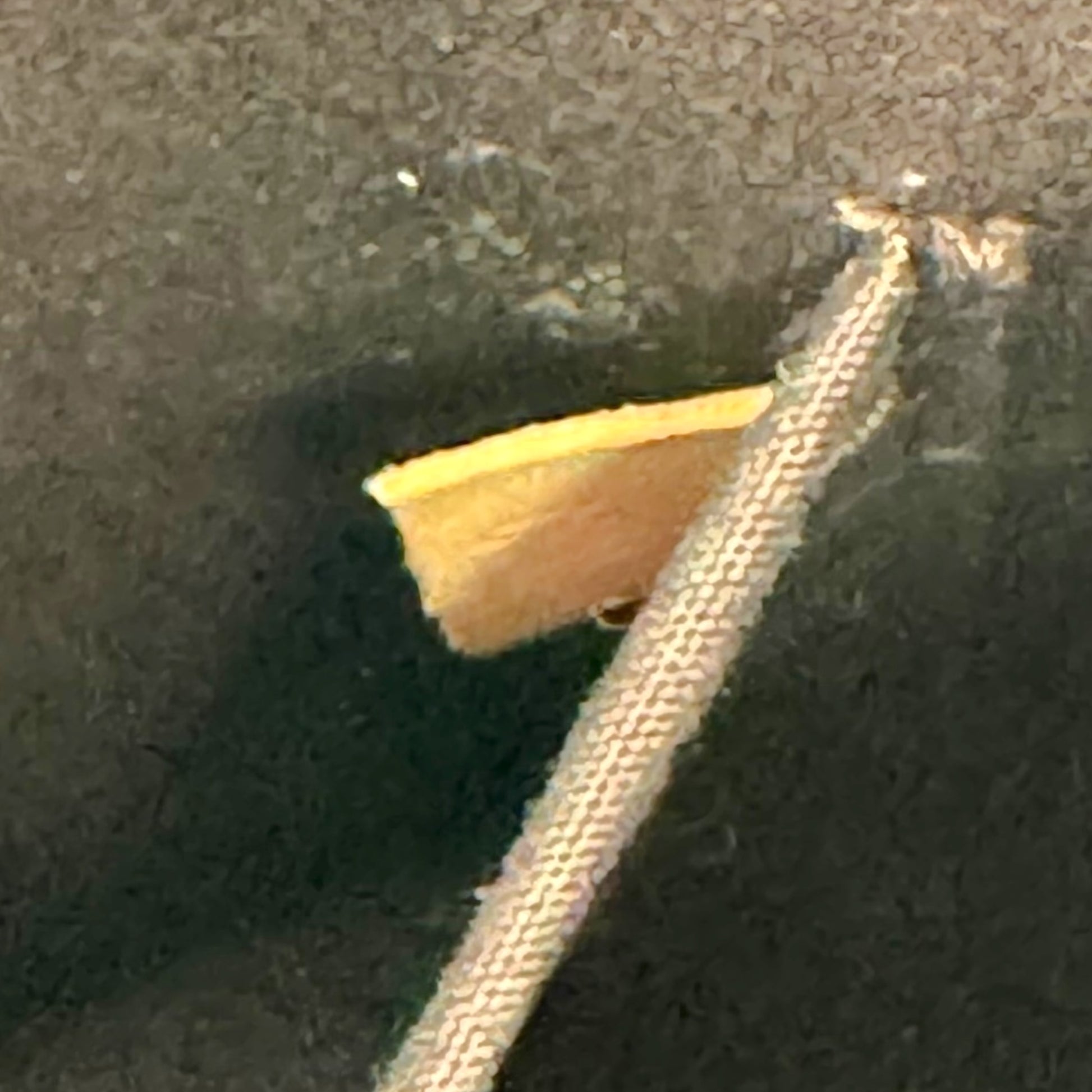 Louis Vuitton Burgundy Vernis Patent Monogram Alma PM Bag - Outfit Repeater