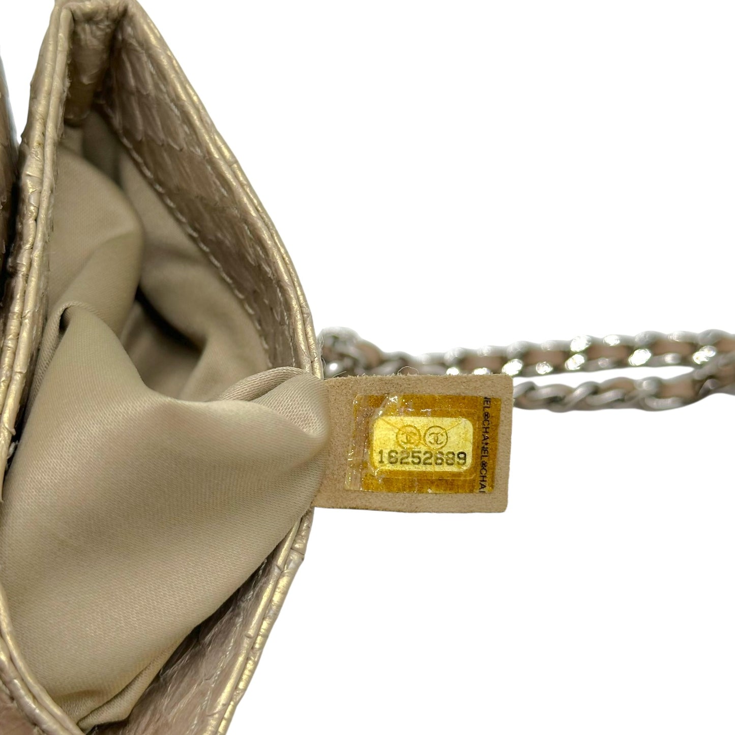 Chanel Gold Python & Silver Hardware Square Wallet On Chain Crossbody Bag 2012