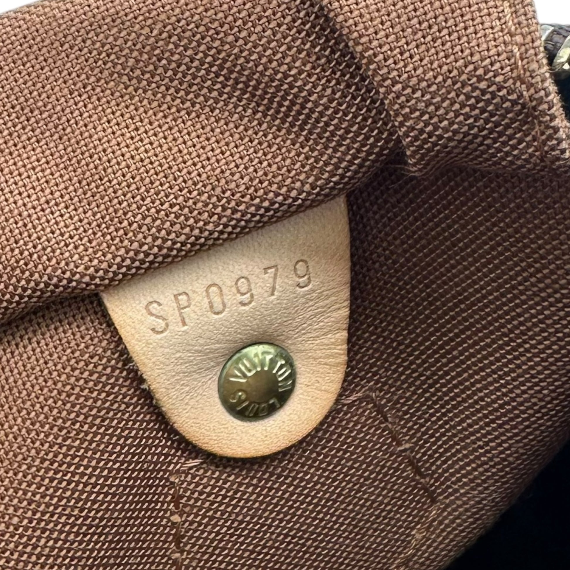 Louis Vuitton Monogam Speedy 25 Bag - Outfit Repeater