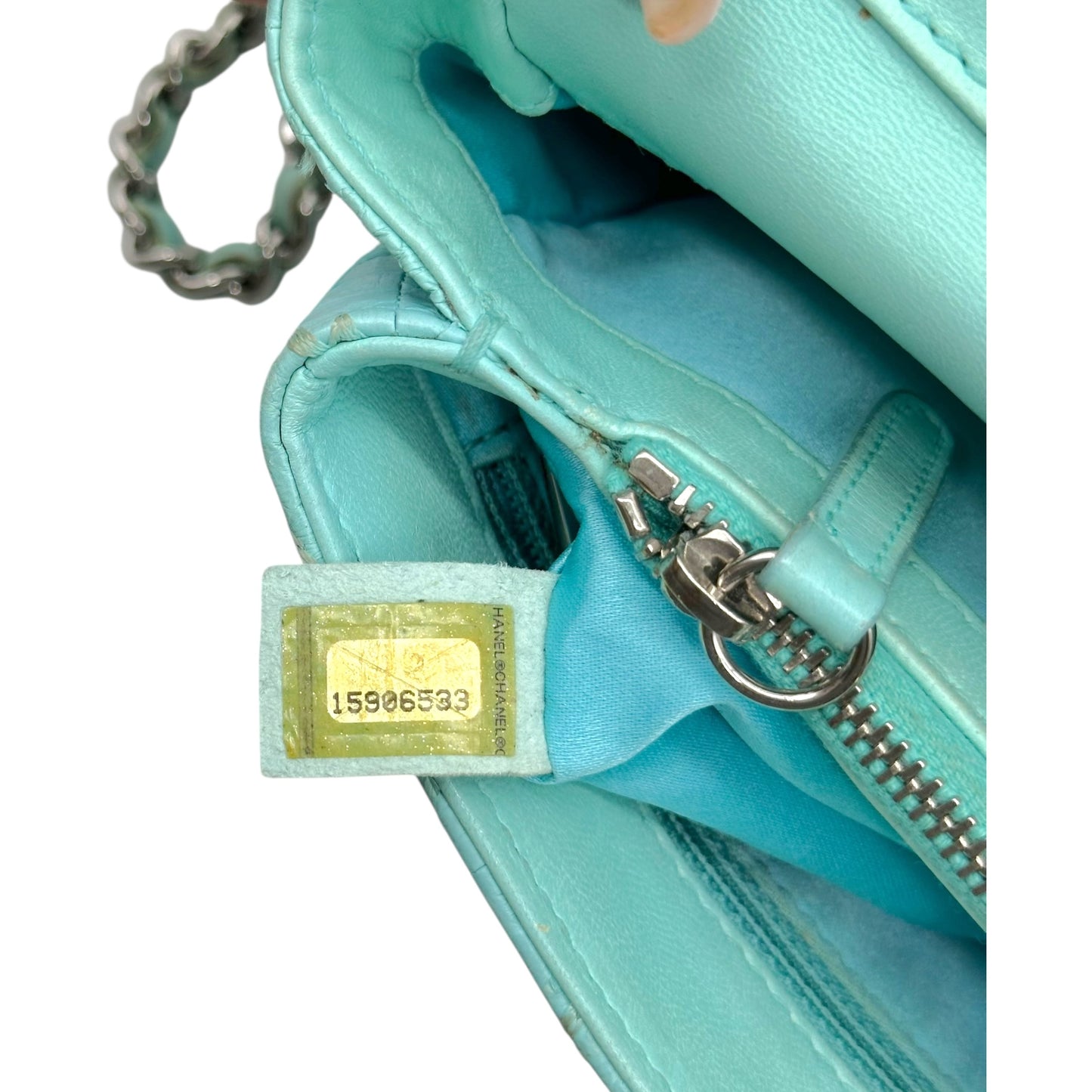 Chanel Light Blue Python Wild Stitch Small East West Flap Bag