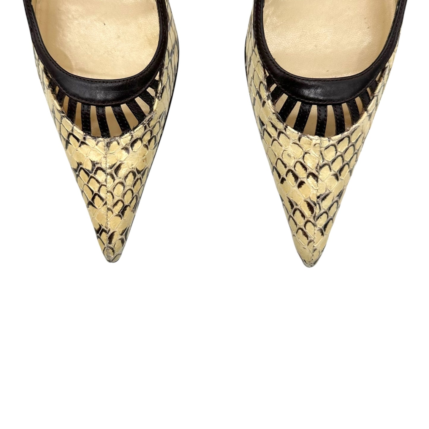 Dolce & Gabbana Ivory Python Pointed Toe Heels