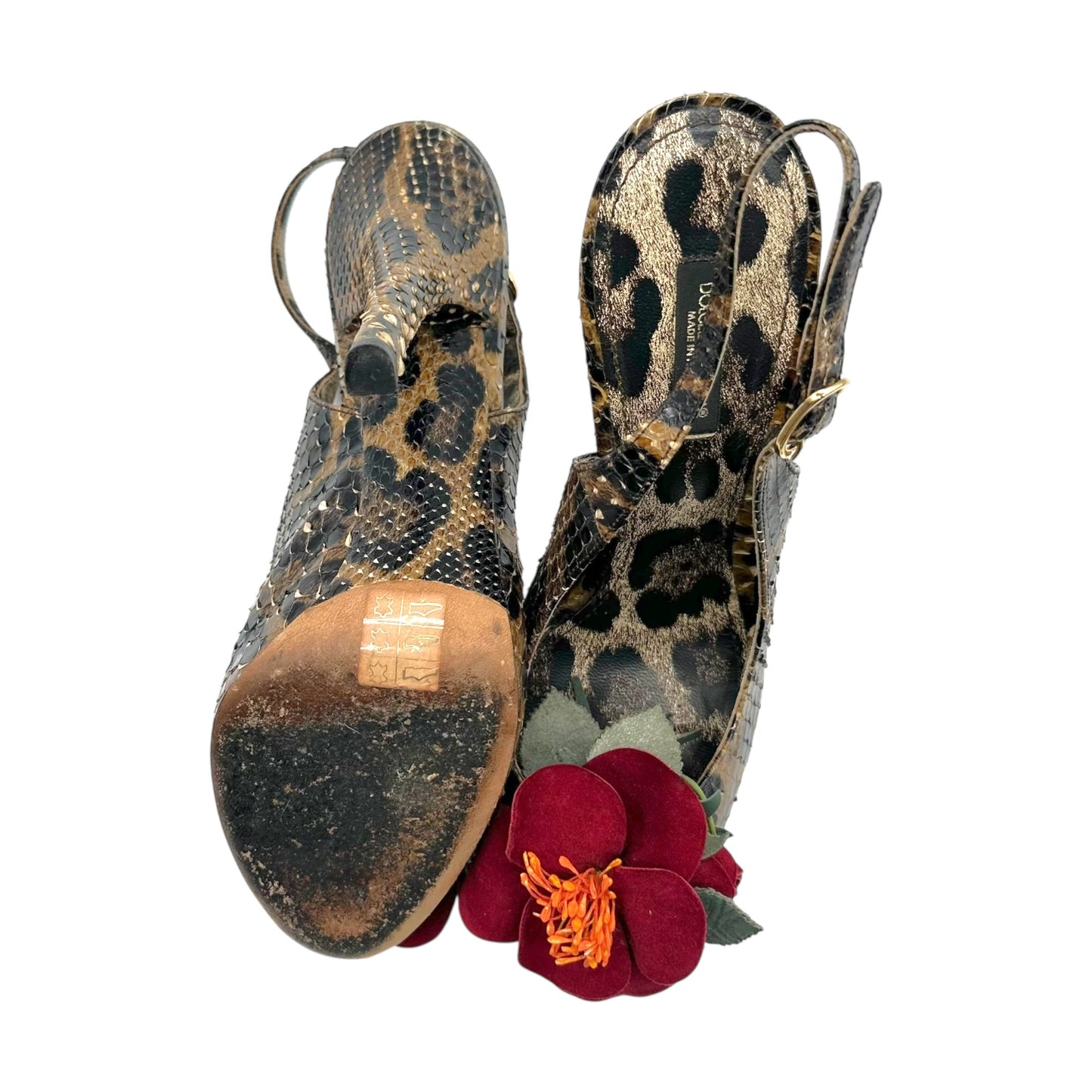 Dolce & Gabbana Pyton & Leather Flower Slingback Heels