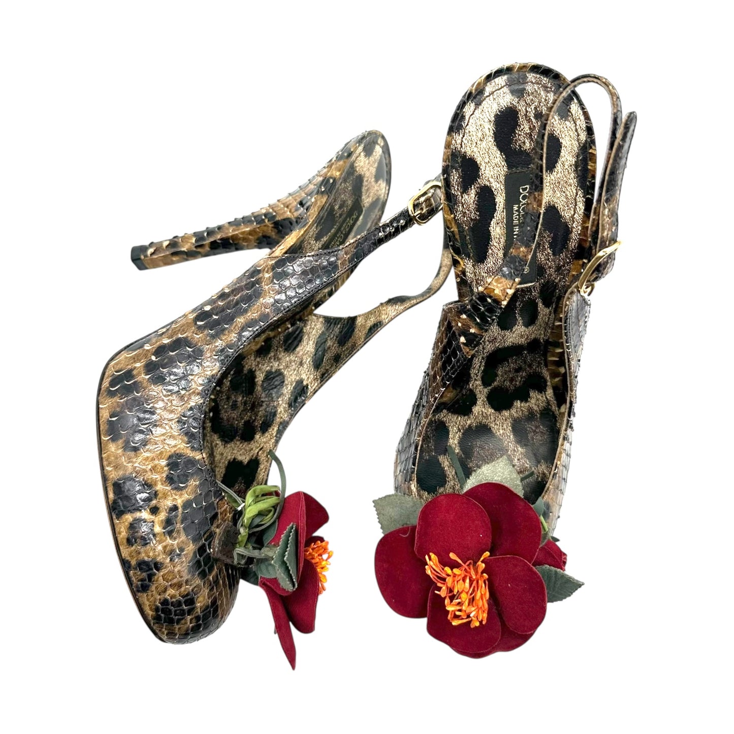 Dolce & Gabbana Pyton & Leather Flower Slingback Heels