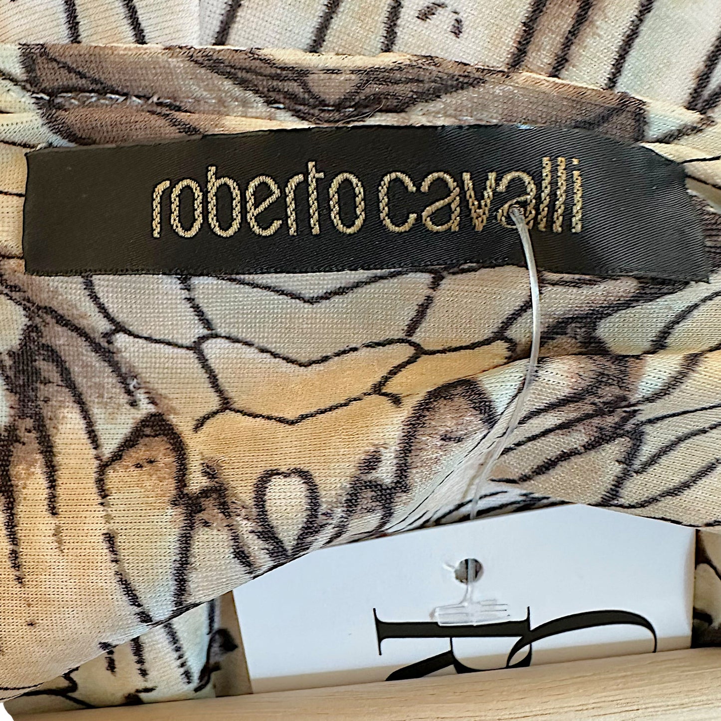 Roberto Cavalli 2006 Blue & Brown Scale Print Midi Dress