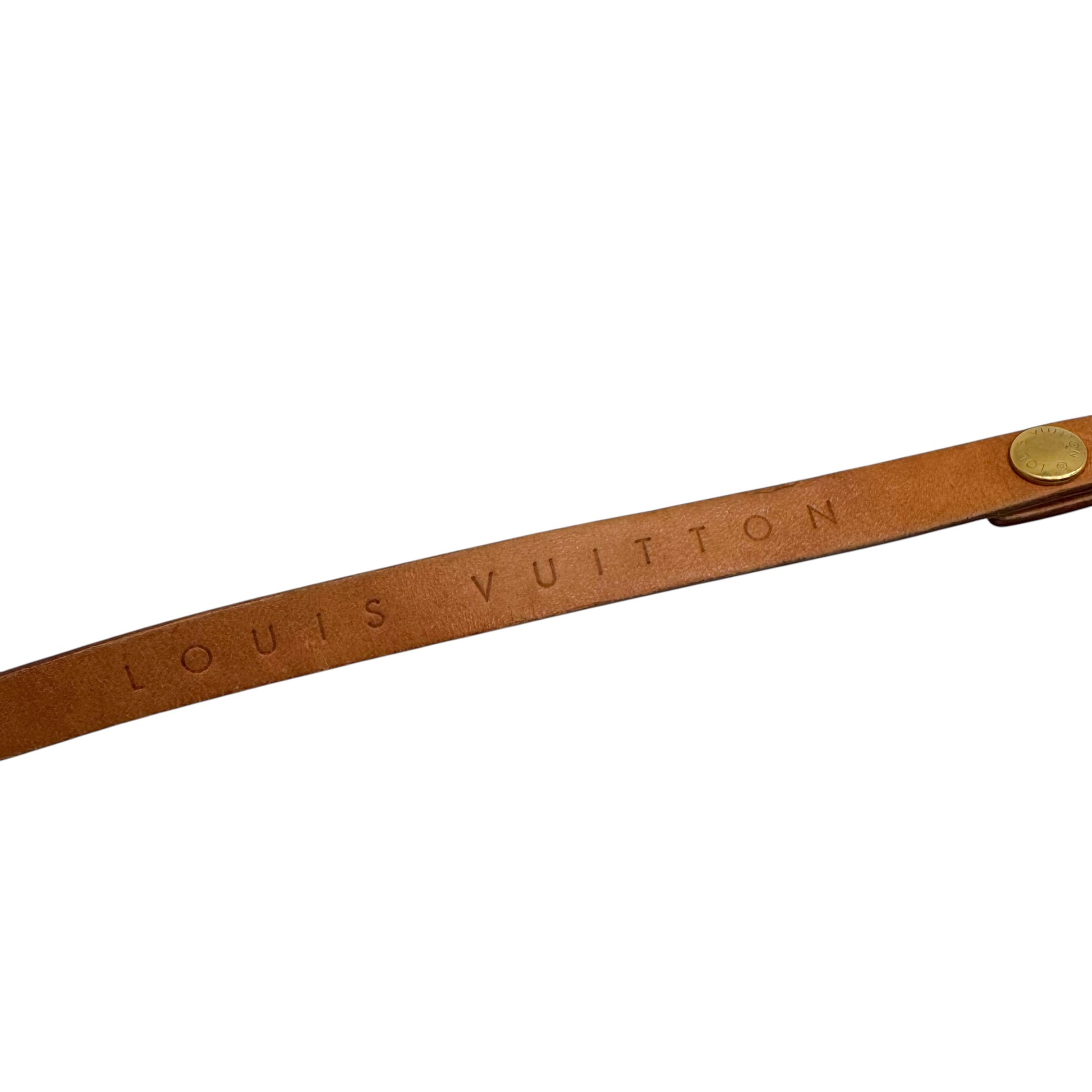 Louis Vuitton Classic Monogram Florentine Waist Bag - Outfit Repeater