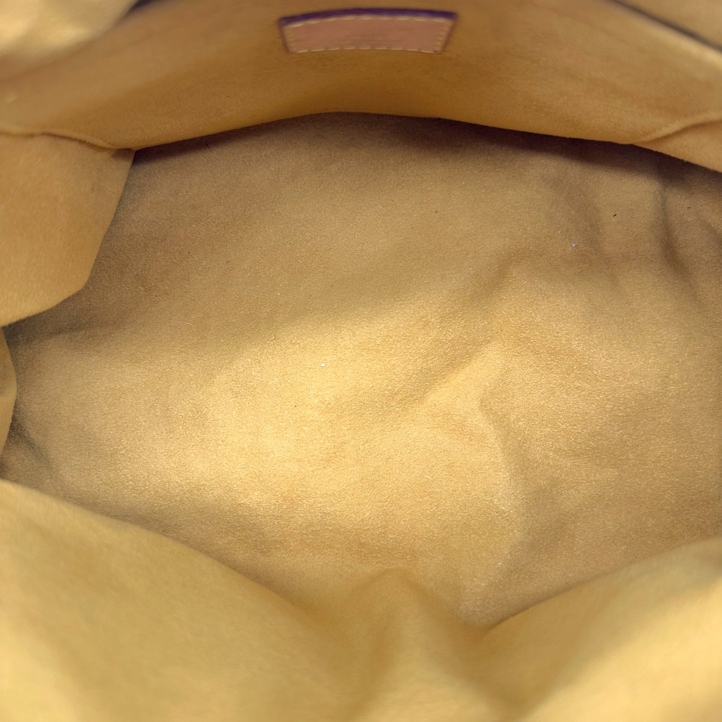 Louis Vuitton Denim Monogram Neo Speedy Bag