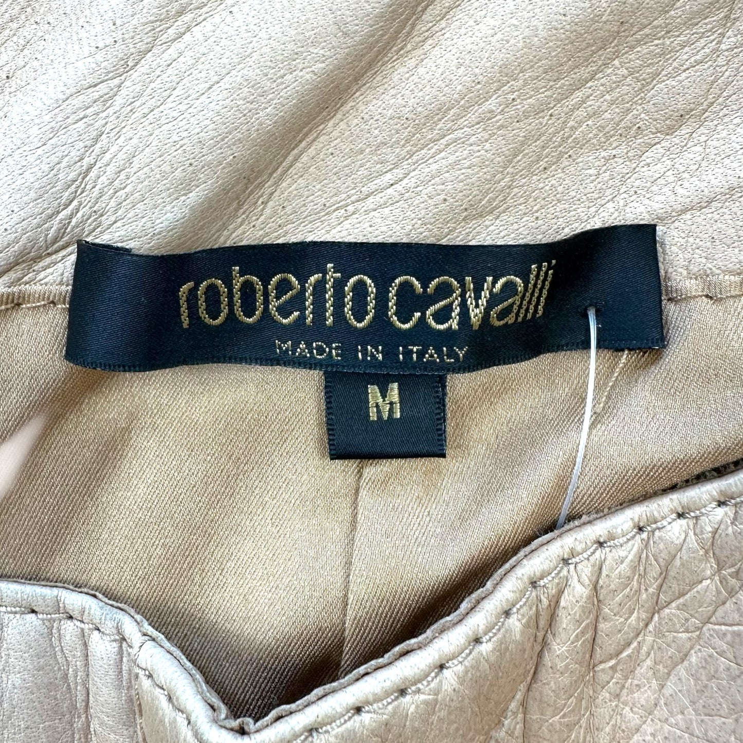 Roberto Cavalli Fall 2003 Runway Goddess Patchwork Leather Moto Pants NEW