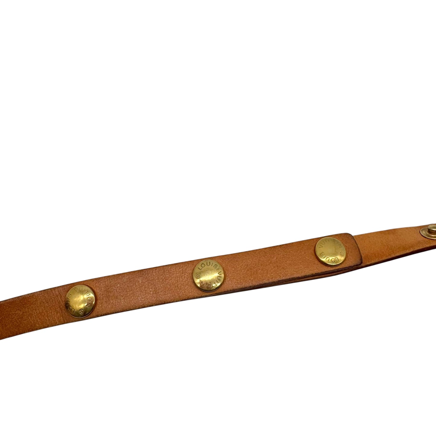 Louis Vuitton Classic Monogram Florentine Waist Bag - Outfit Repeater