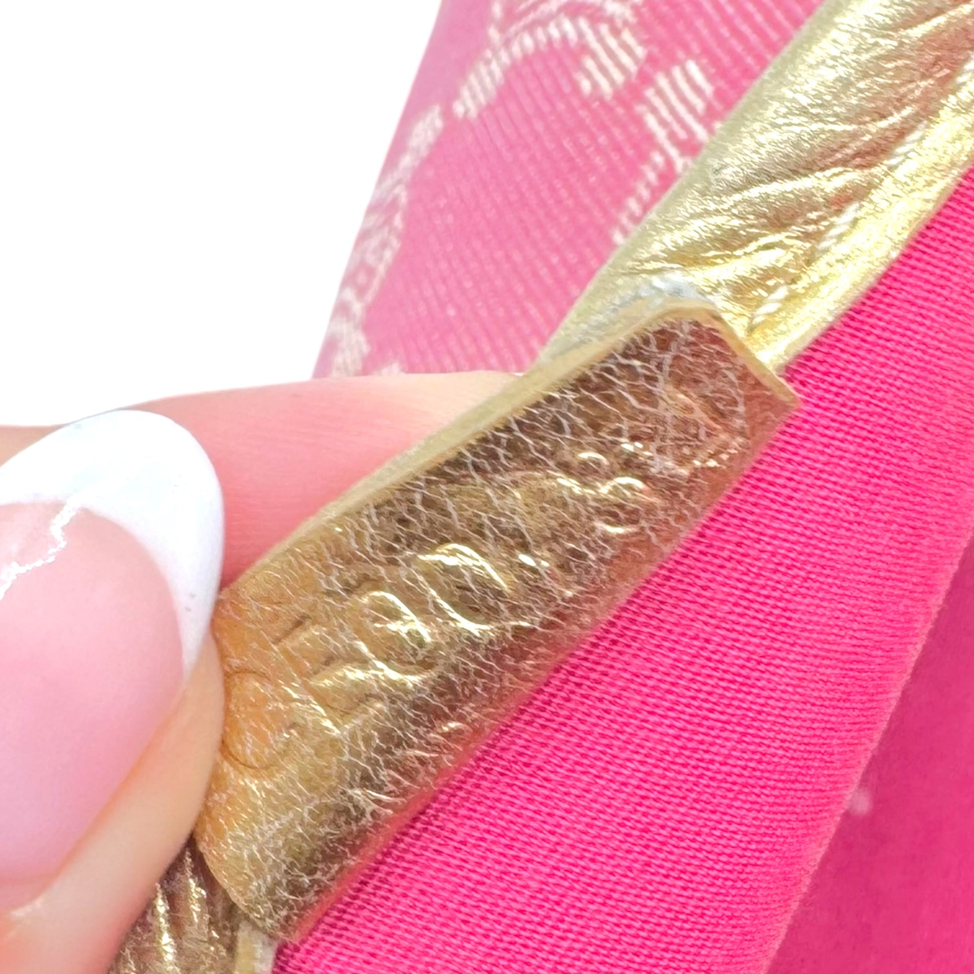 Celine Pink Denim Triomphe Monogram Poulbot Bag - Outfit Repeater