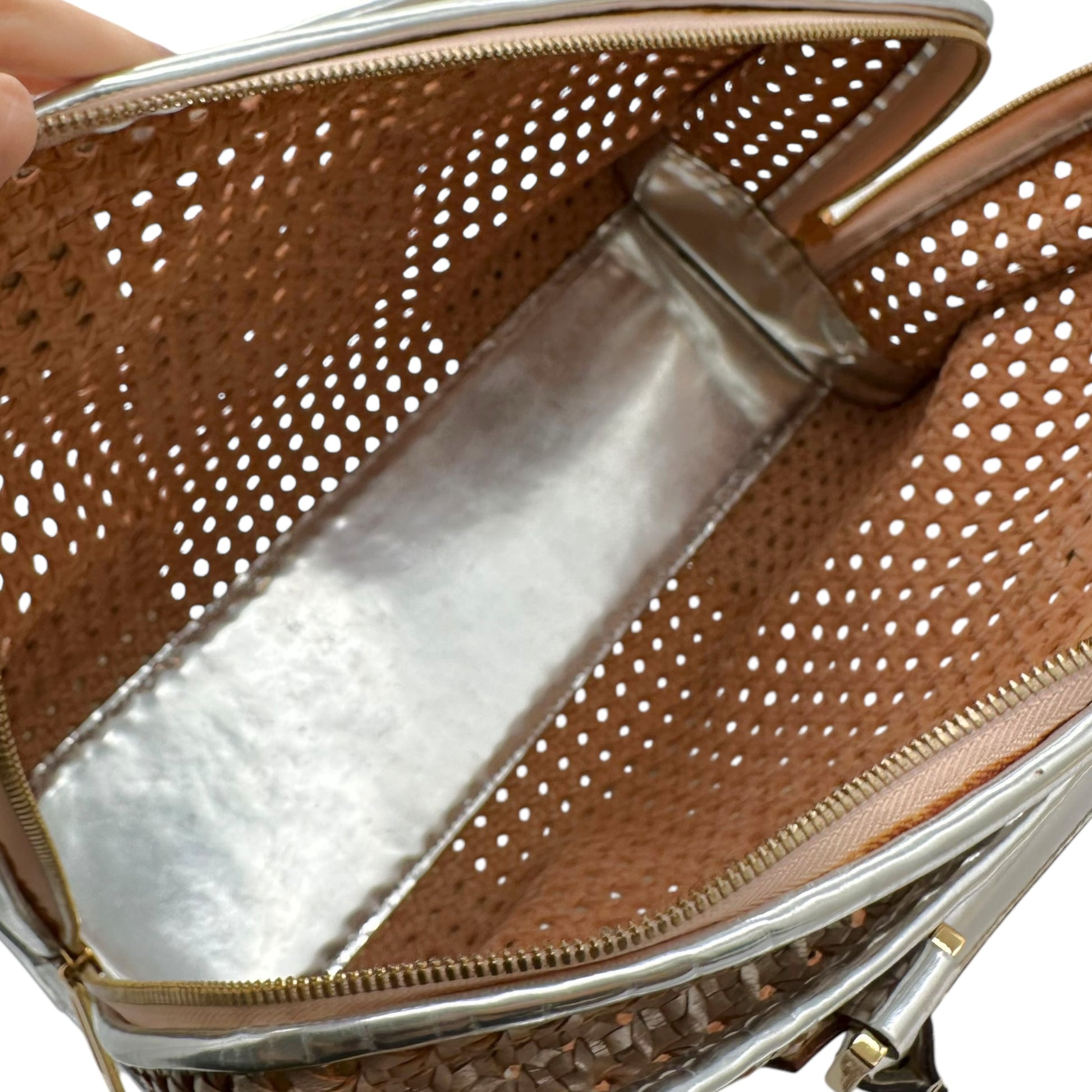 Loewe 2007 Special Edition Silver & Gold Amazona 36 Bag - Outfit Repeater