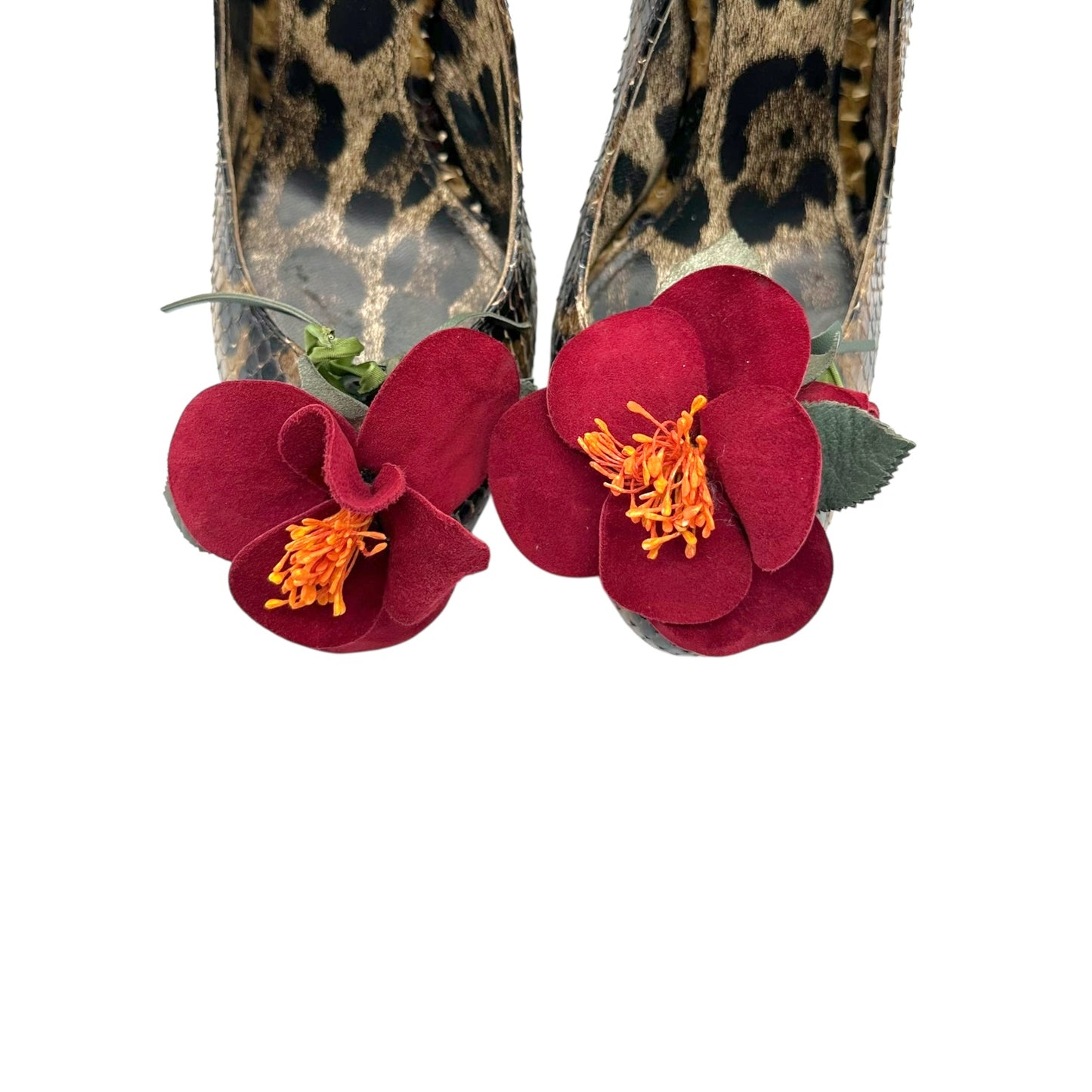 Dolce & Gabbana Pyton & Leather Flower Slingback Heels