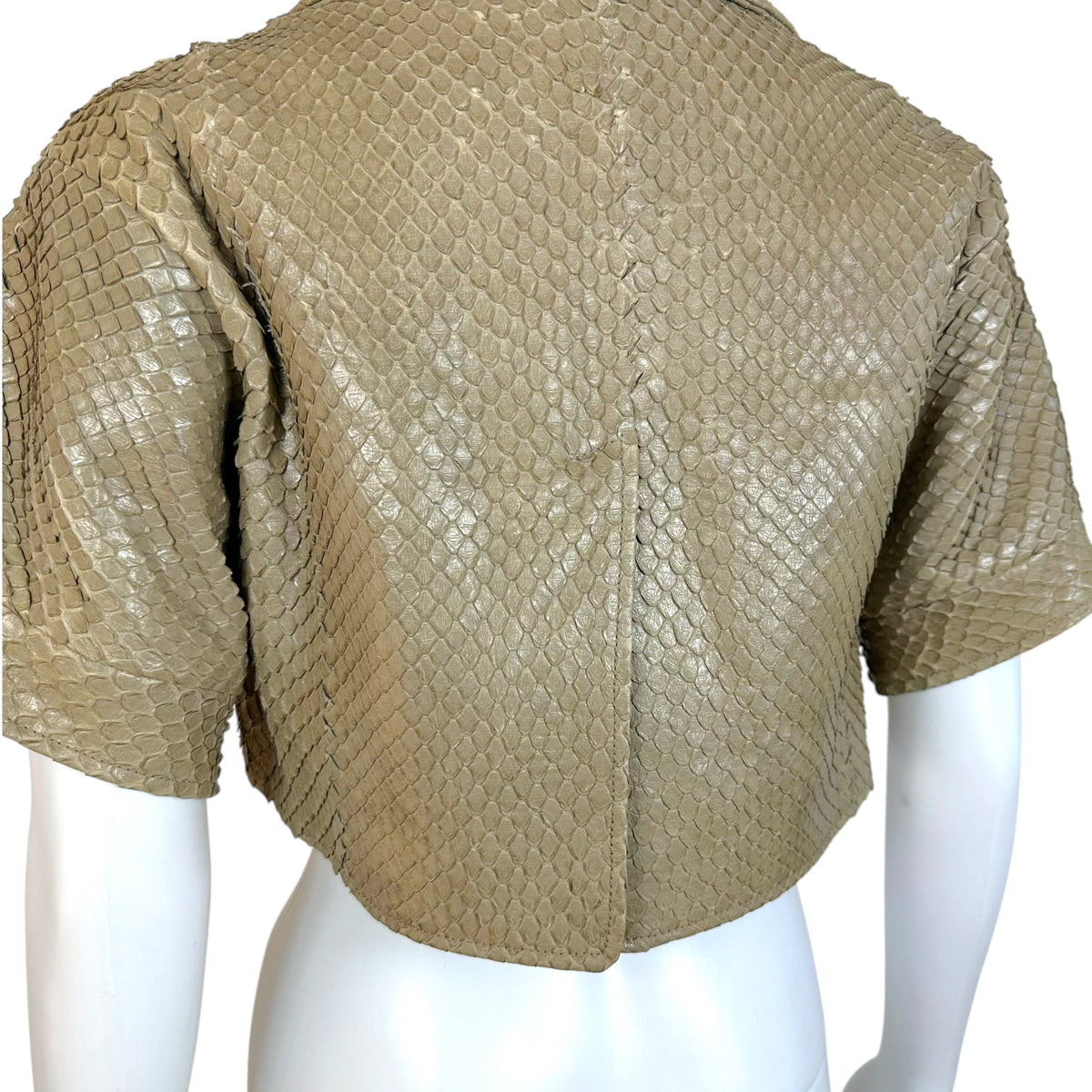 Bottega Veneta Cropped Bolero Jacket Taupe Gray Snakeskin