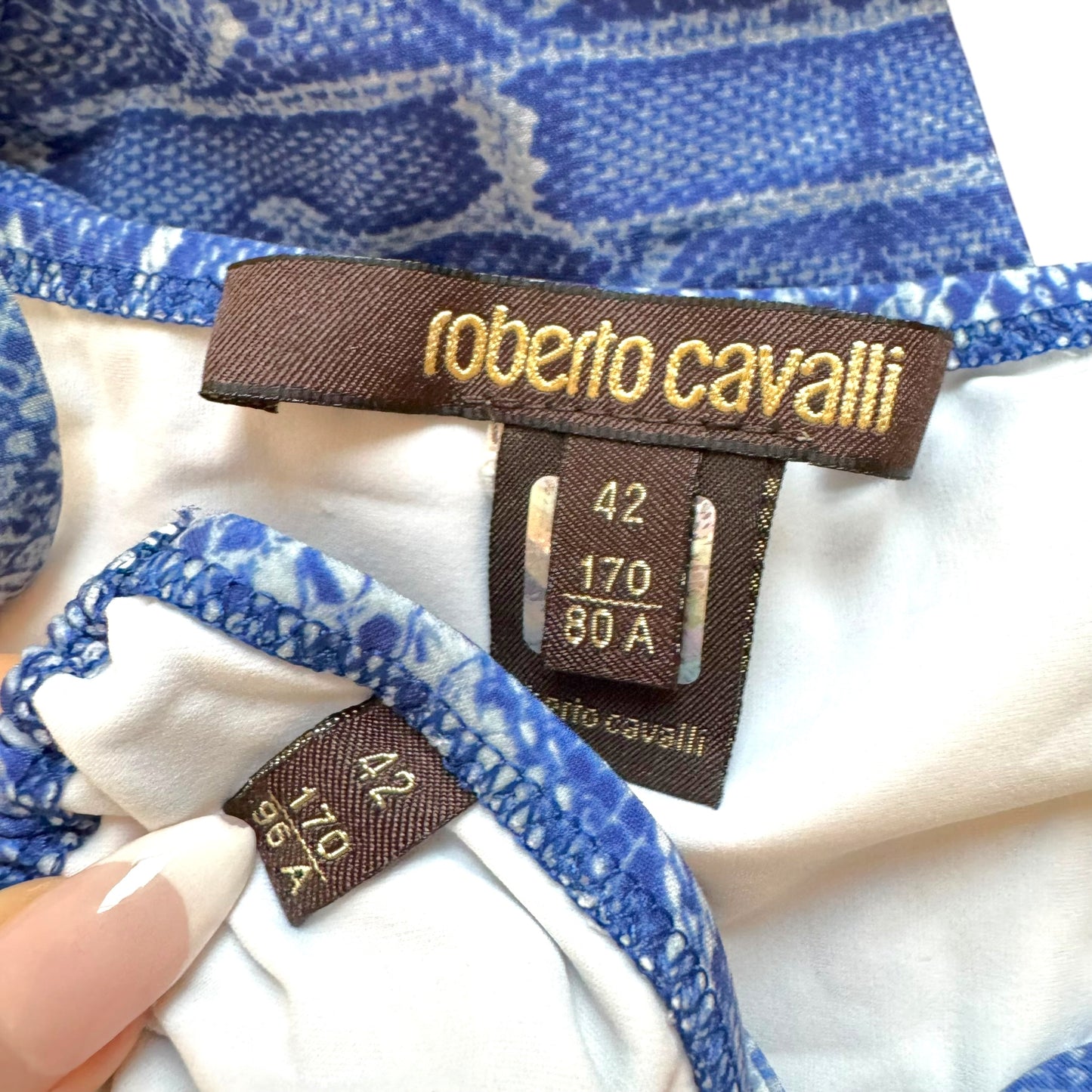 Roberto Cavalli Blue Python Print Bikini Set