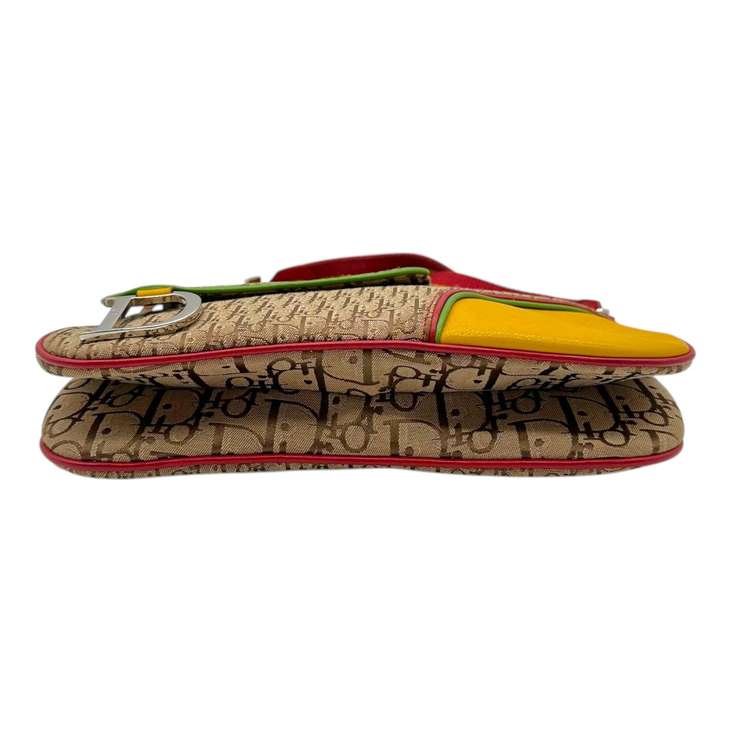 Christian Dior Rasta Crossbody Double Saddle Bag