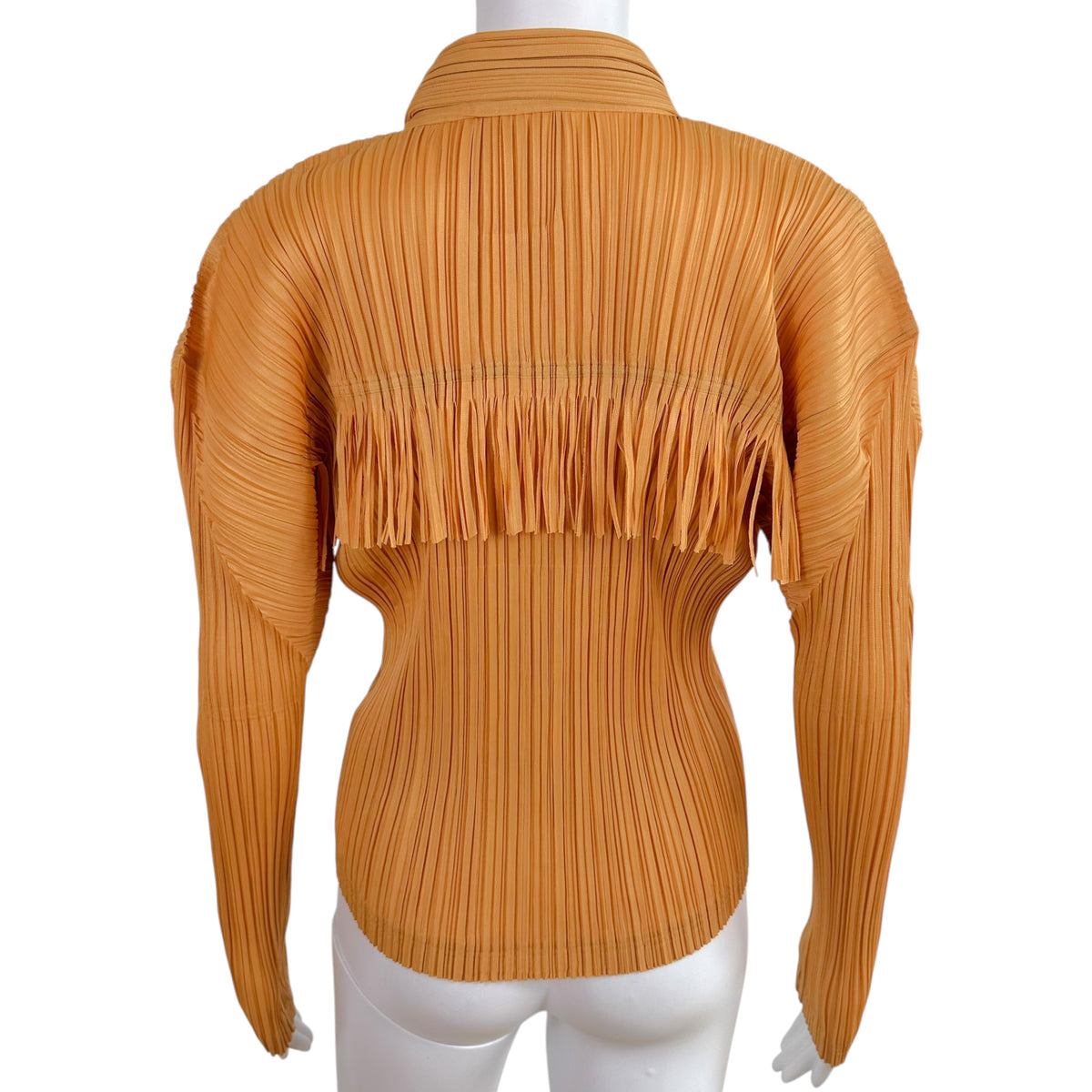 Issey Miyake Longsleeve Blouse Golden Pleated Fringe Trim