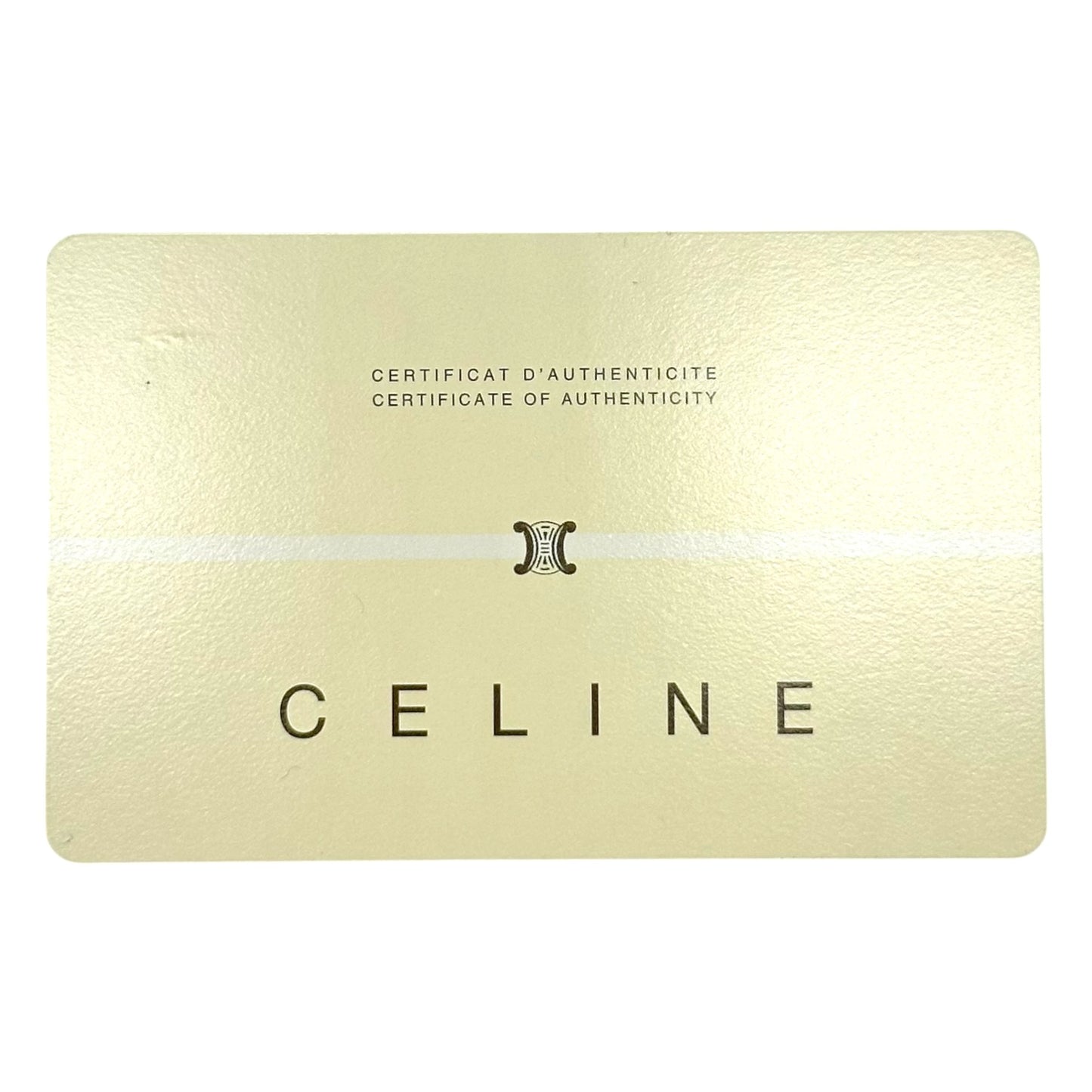 Celine Triomphe Monogram Metallic Denim Chain Embellished Shoulder Bag