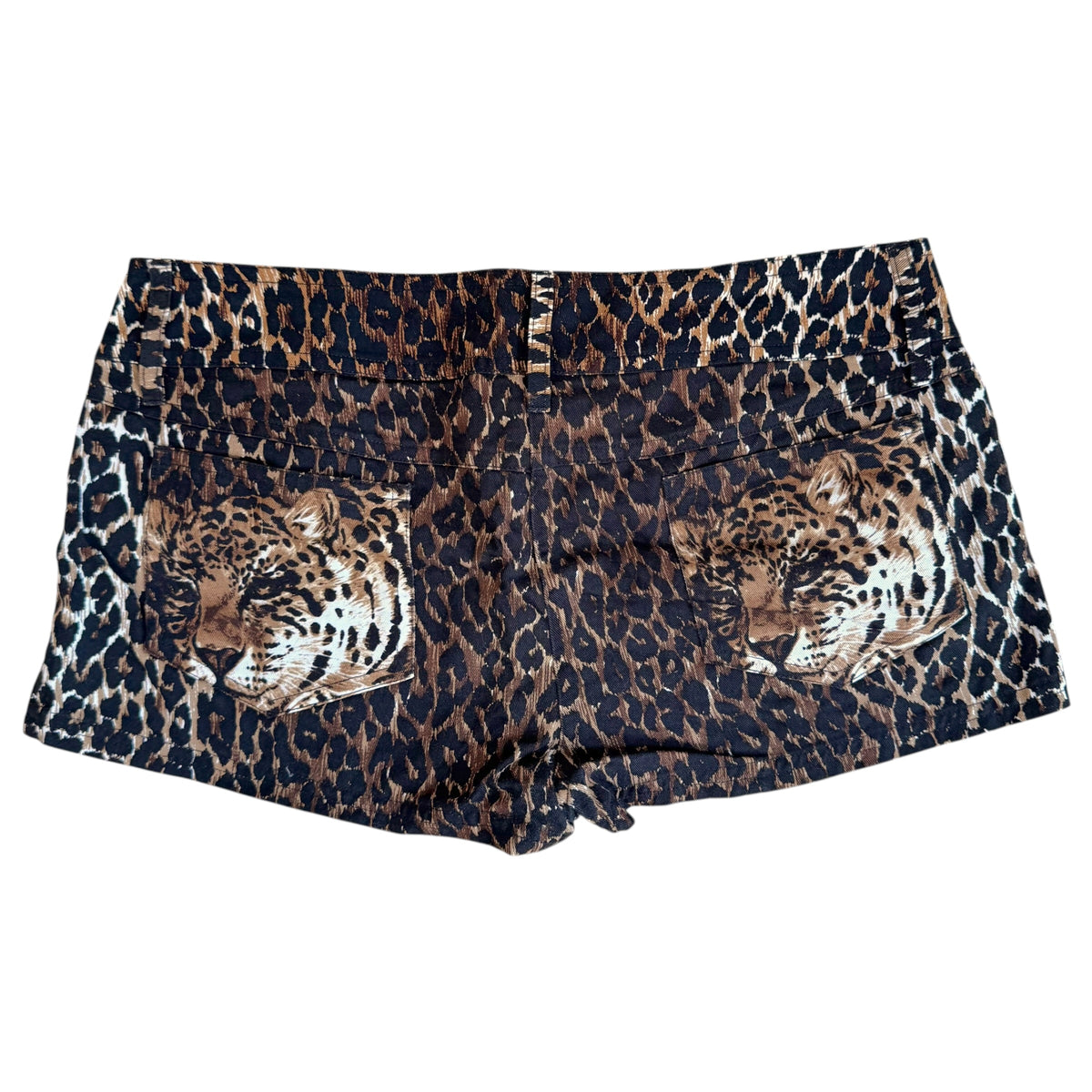 Dolce & Gabbana Leopard Print Low Rise Beach Shorts