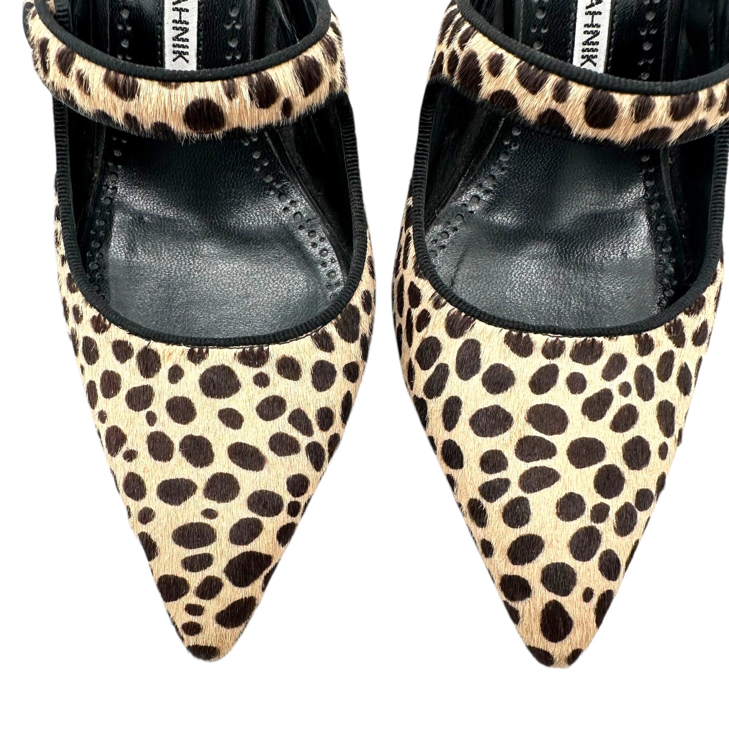 Manolo Blahnik Leopard Print Ponyhair Campari Kitten Heels