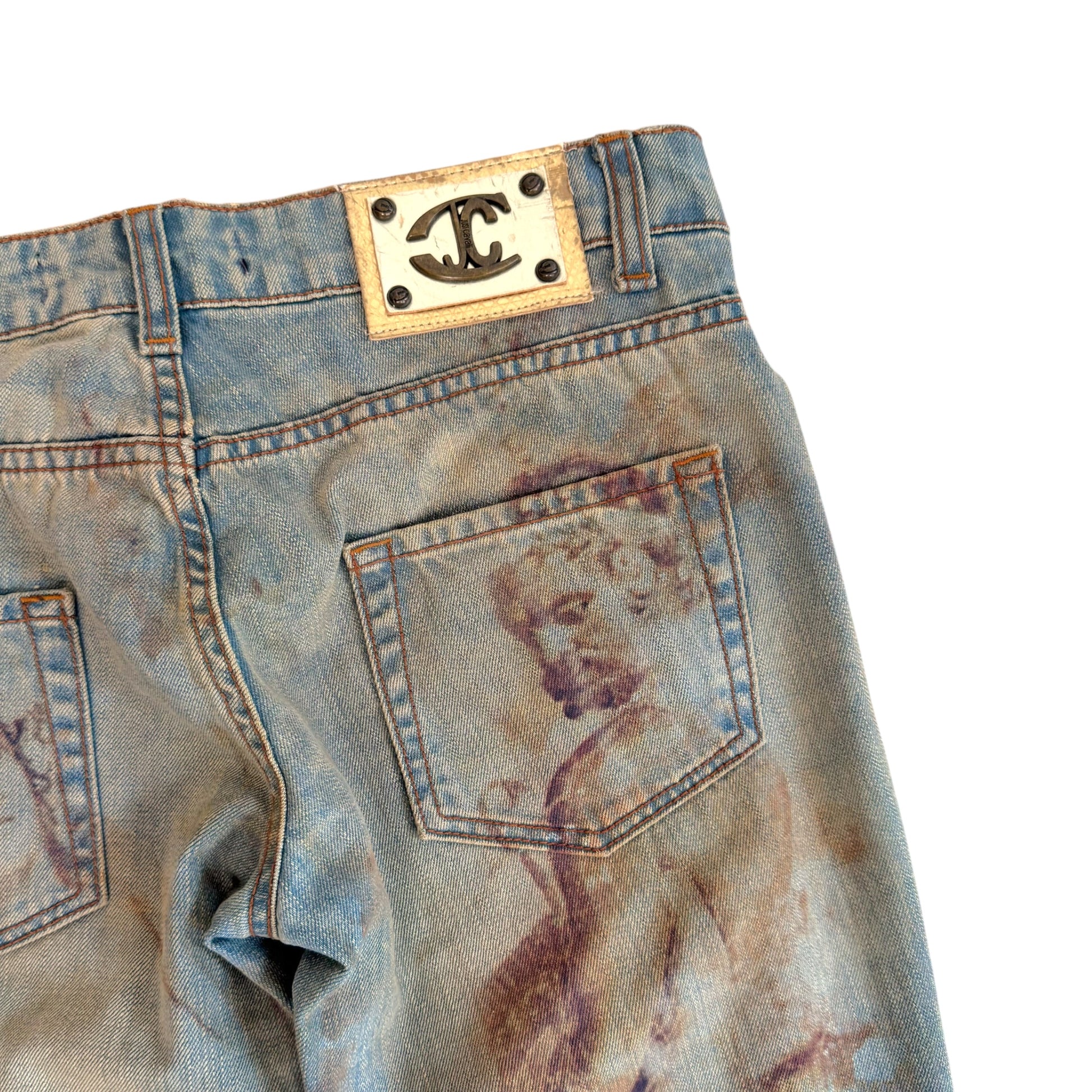 Roberto Cavalli Blue Denim Statue Print Jeans