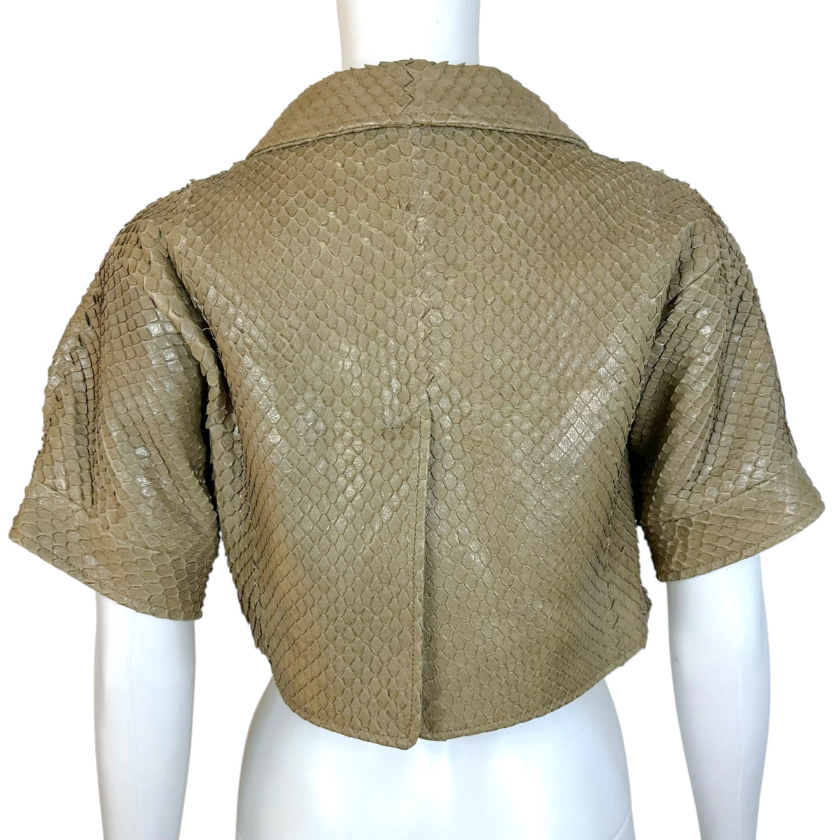 Bottega Veneta Cropped Bolero Jacket Taupe Gray Snakeskin