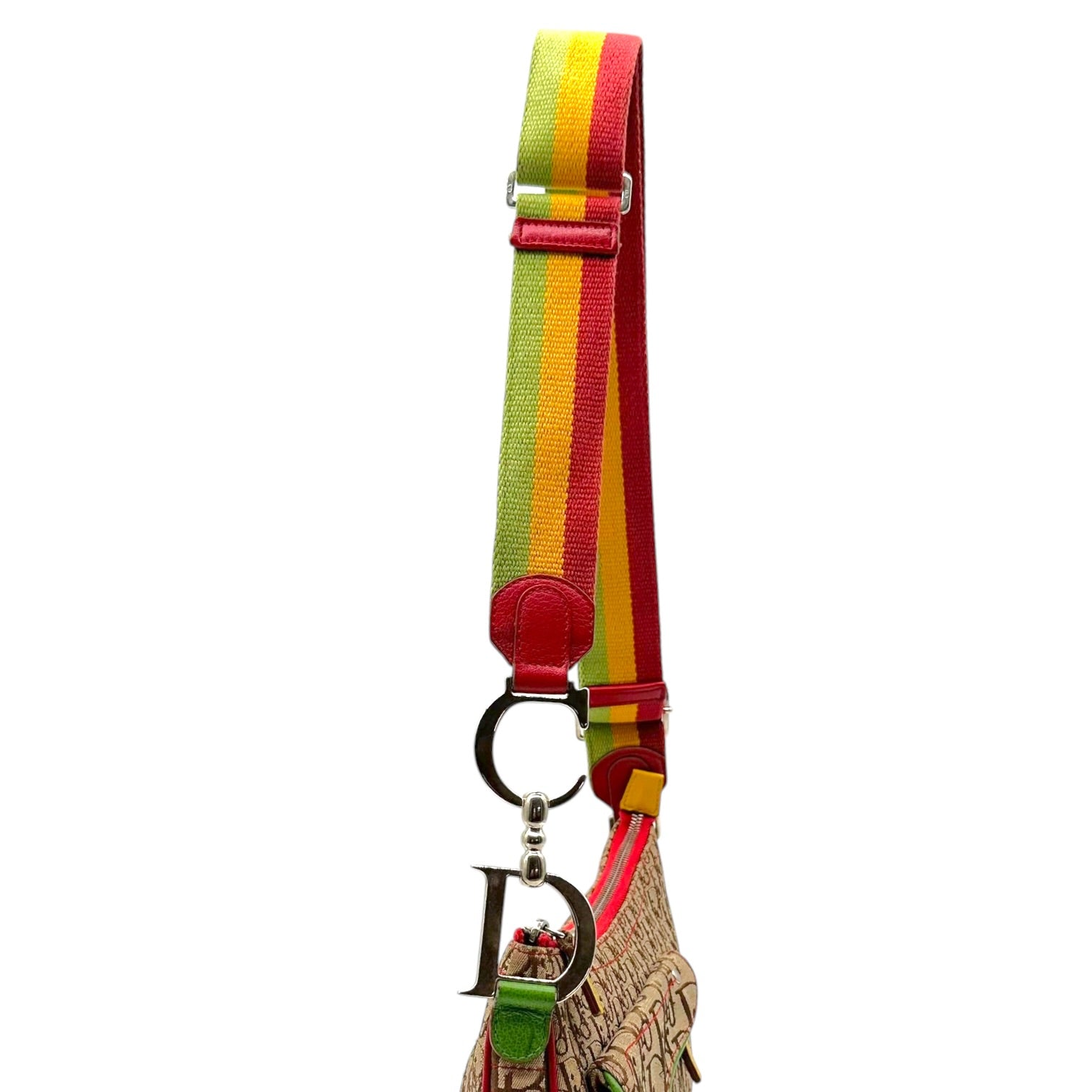 Christian Dior Crossbody Saddle Bag Rasta Monogram