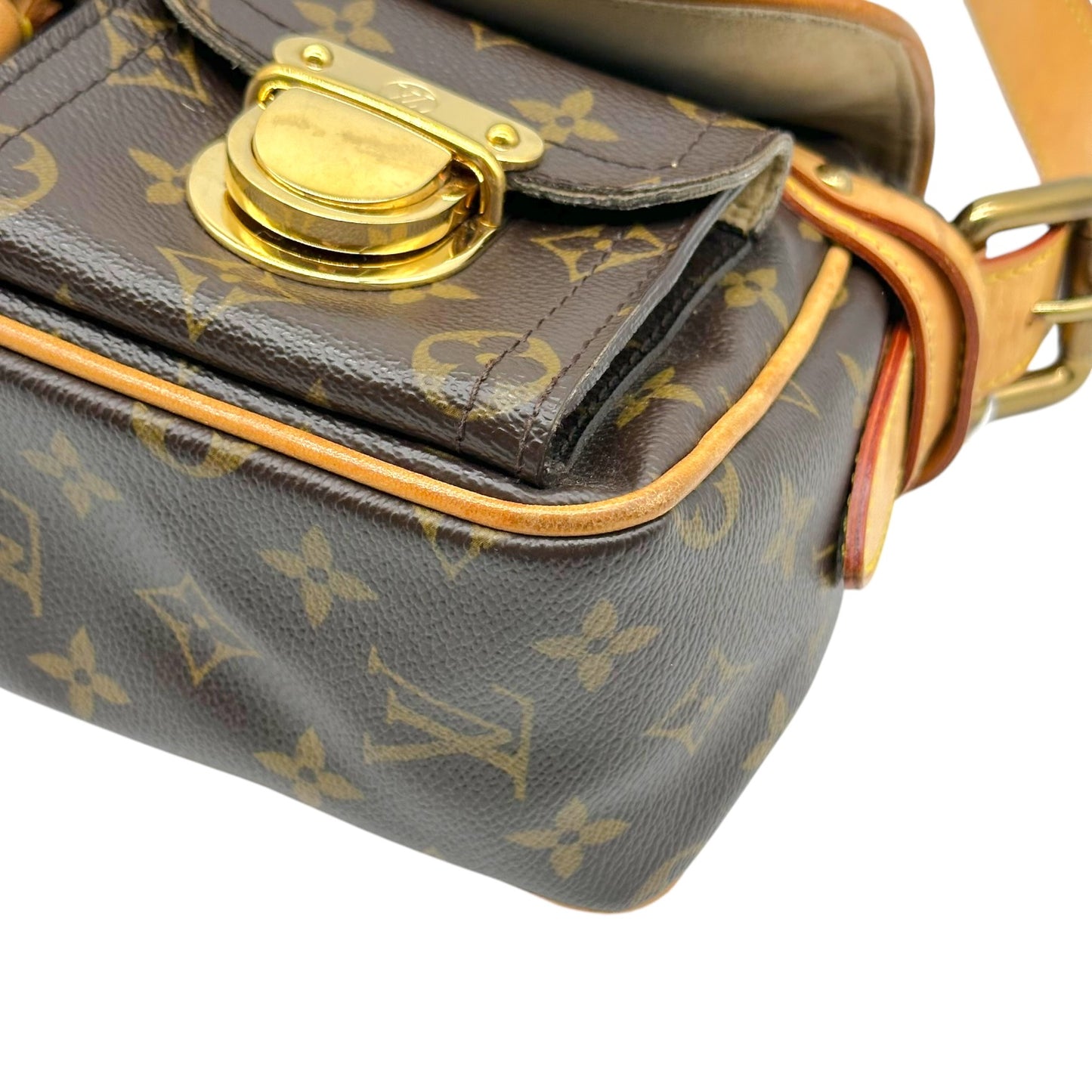 Louis Vuitton Classic Monogram Hudson PM Shoulder Bag