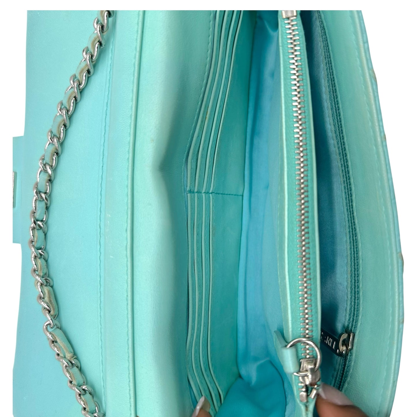 Chanel Light Blue Python Wild Stitch Small East West Flap Bag