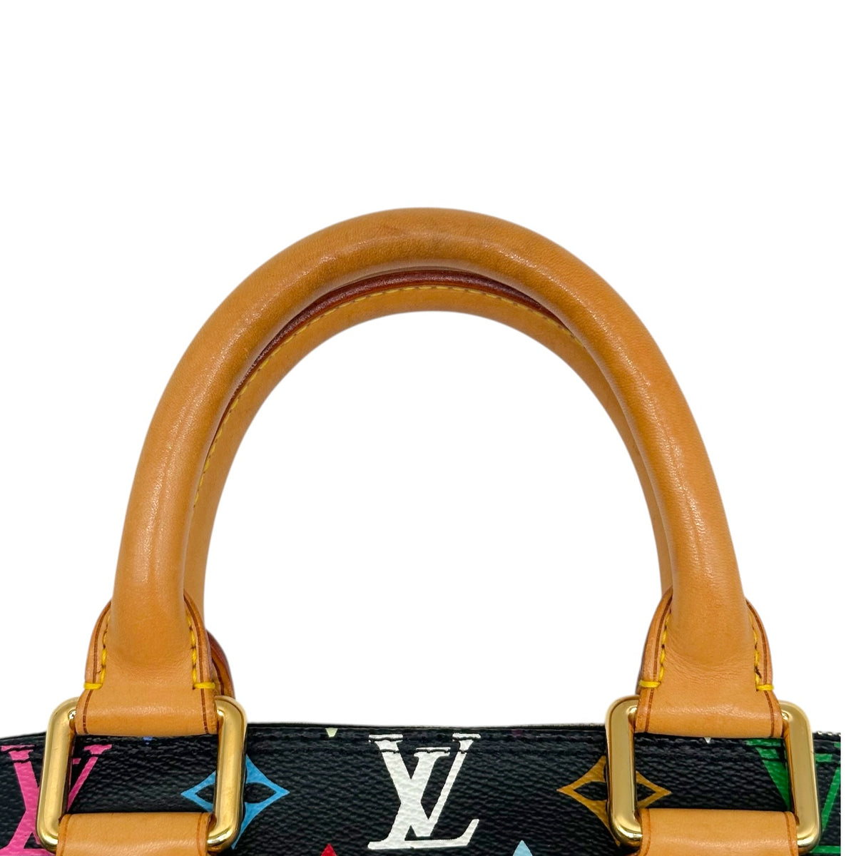 Louis Vuitton Black Multicolor Alma PM Bag
