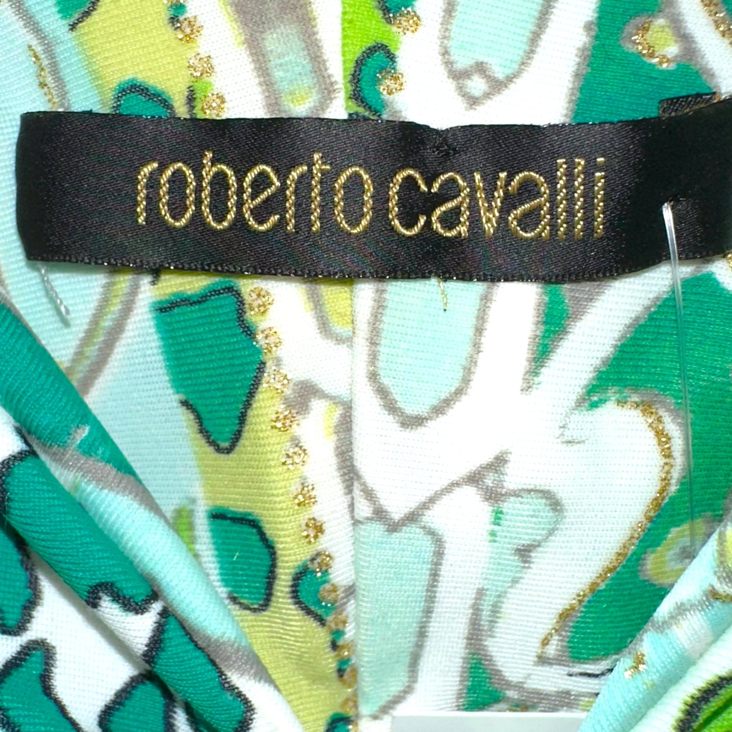 Roberto Cavalli Midi Dress Blue Green Silk Printed V-Neck