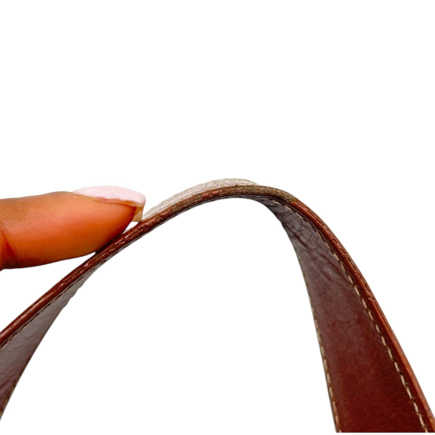 Loewe Brown Leather Small Hobo Bag with Gold Detailing