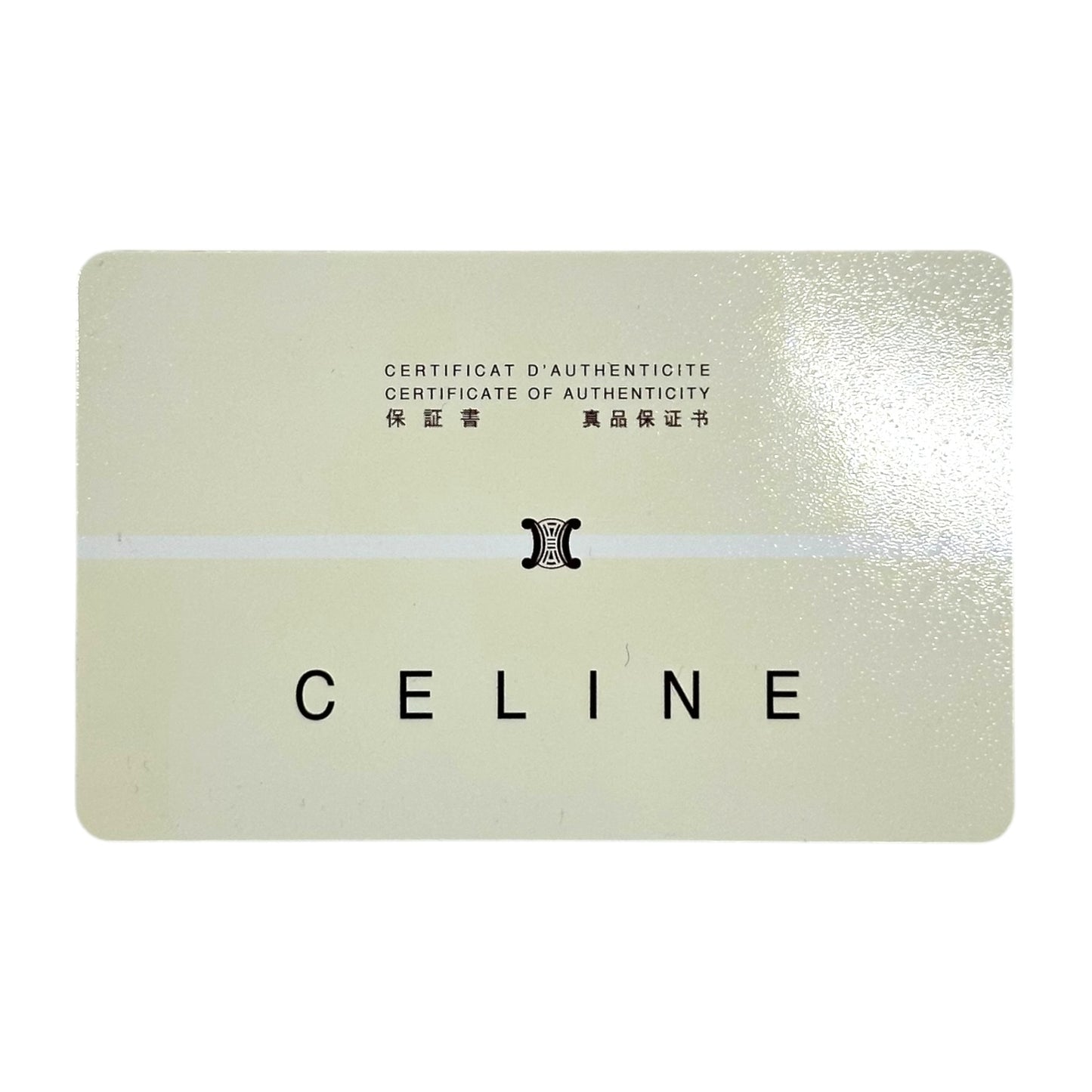 Celine Denim Triomphe Moogram Poulbot Shoulder Bag