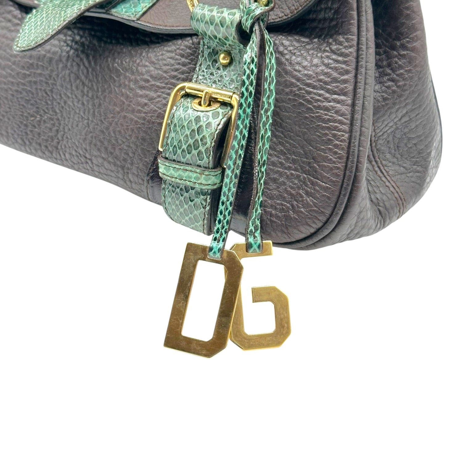 Dolce & Gabbana Teal Snakeskin Brown Leather Shoulder Bag