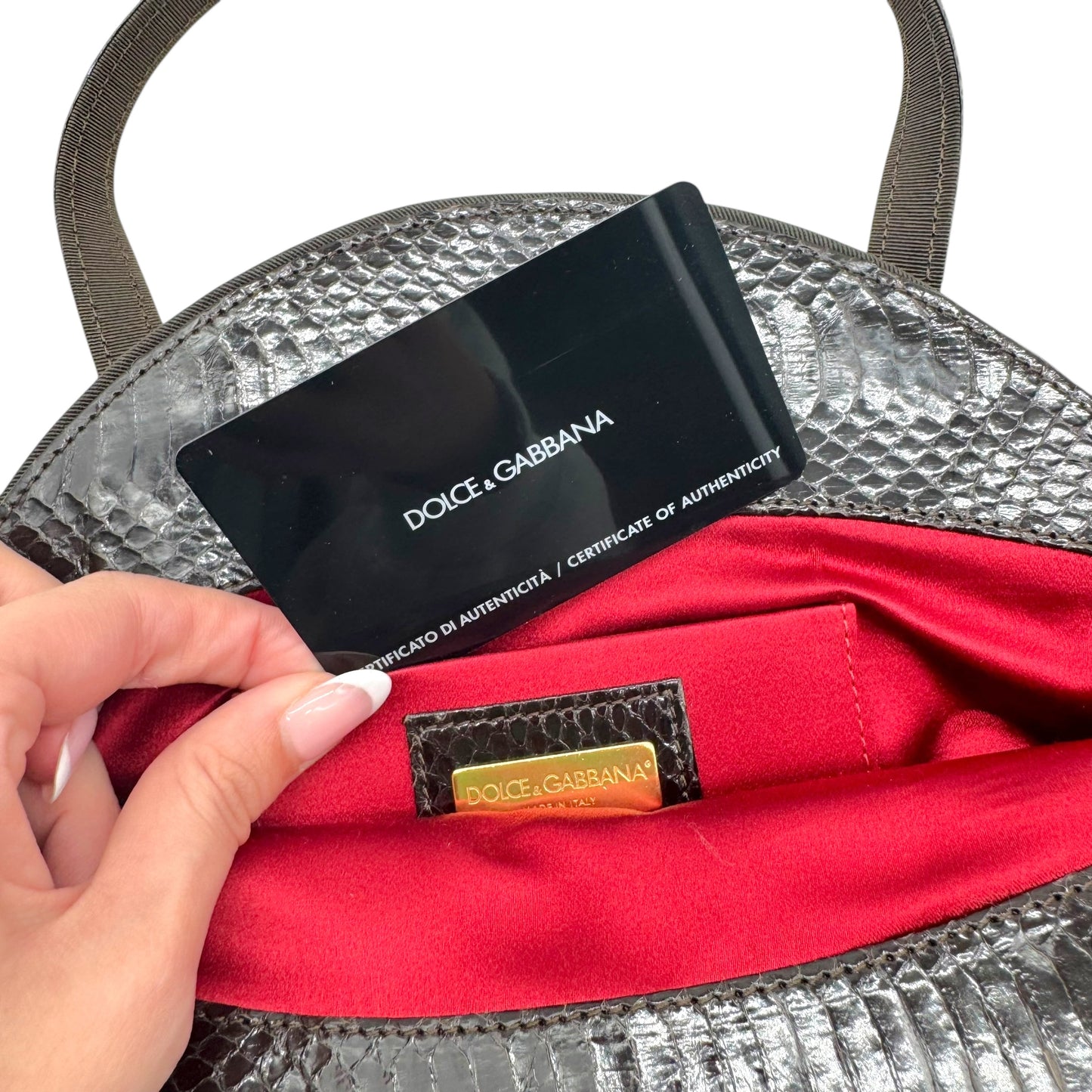 Dolce & Gabbana Leopard Print Silk & Python Mini Bag