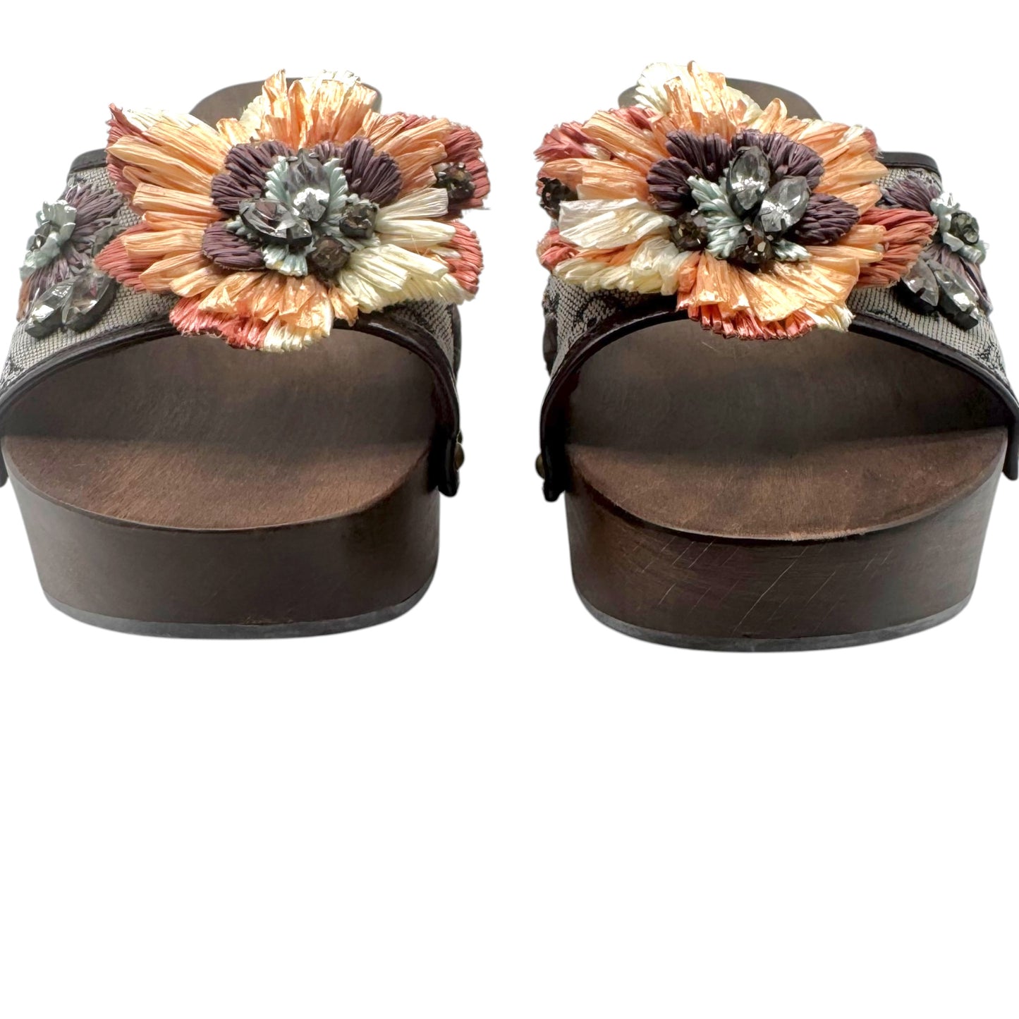 Louis Vuitton Lin Monogram & Sequin Raffia Flower Wooden Kitten Heel Mules