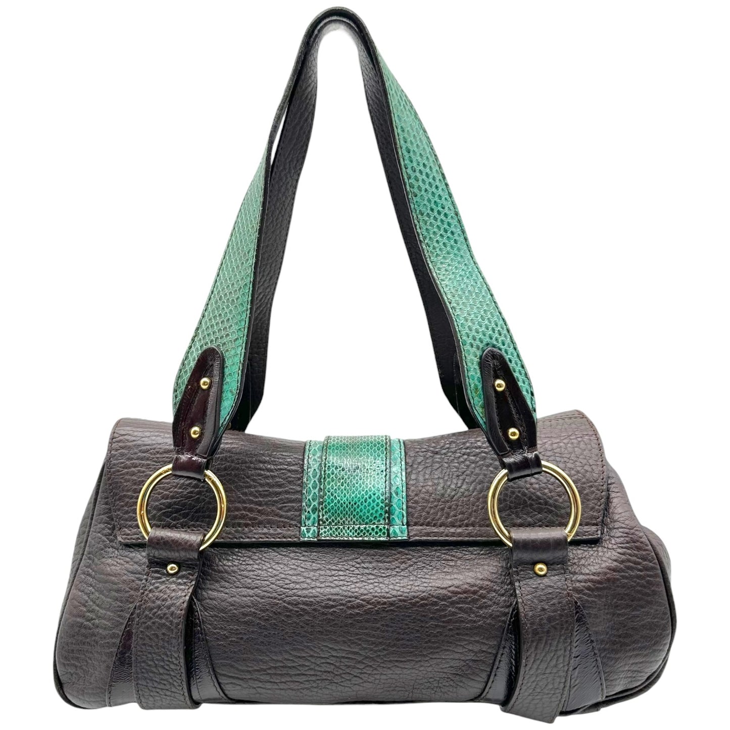 Dolce & Gabbana Teal Snakeskin Brown Leather Shoulder Bag