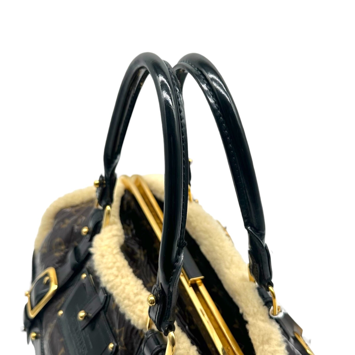 Louis Vuitton Shearling Monogram Storm Handbag