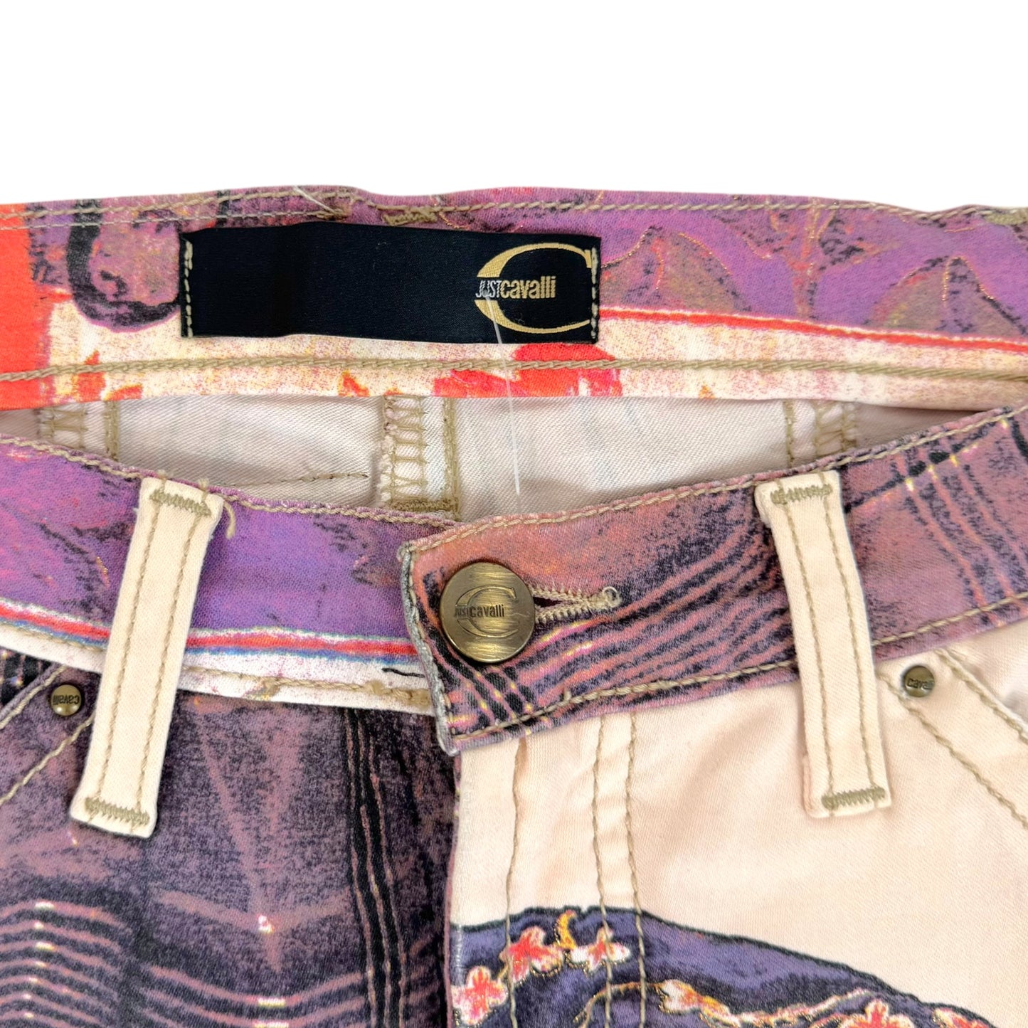 Just Cavalli Roberto Cavalli Purple Multi Plaid & Floral Print Jeans
