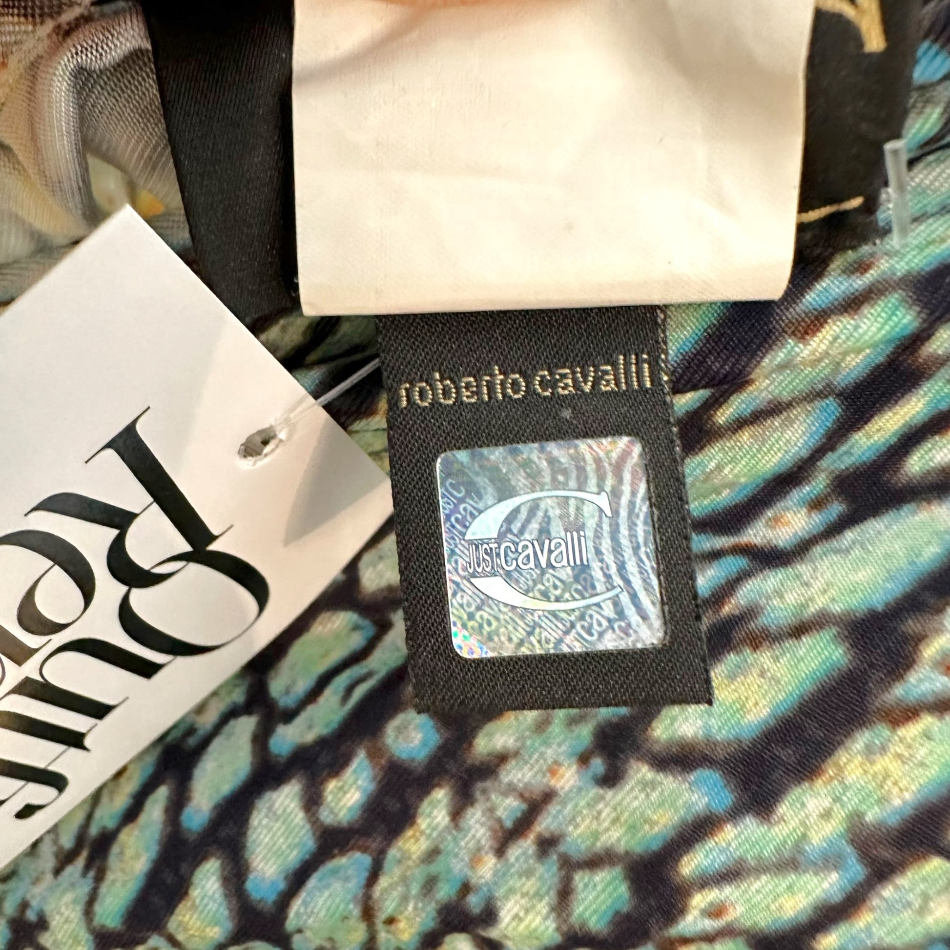 Roberto Cavalli Turquoise Yellow Scale Print Midi Dress