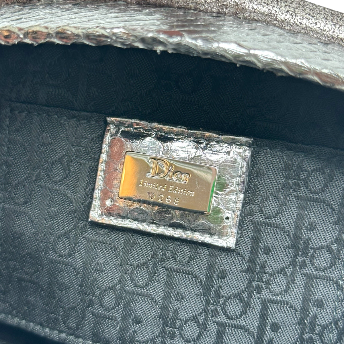 Christian Dior Limited Edition Silver Python & Beaded Suede Crossbody Bag
