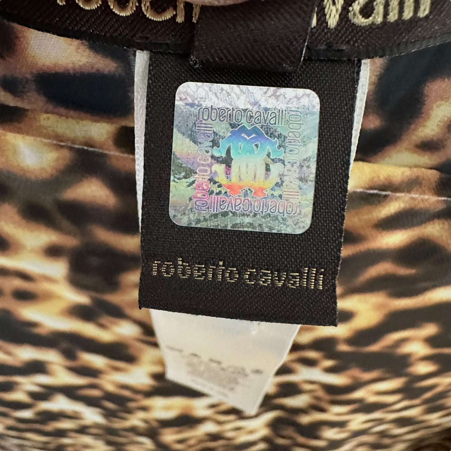 Roberto Cavalli Tortoise Print Sheer Silk Poncho